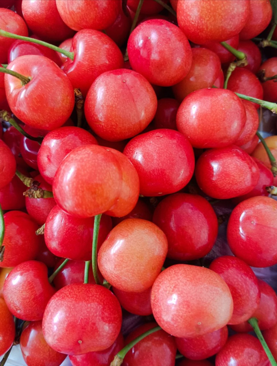 沂水夏蔚王庄大樱桃,水晶,超甜超级好吃,真心好吃哪!