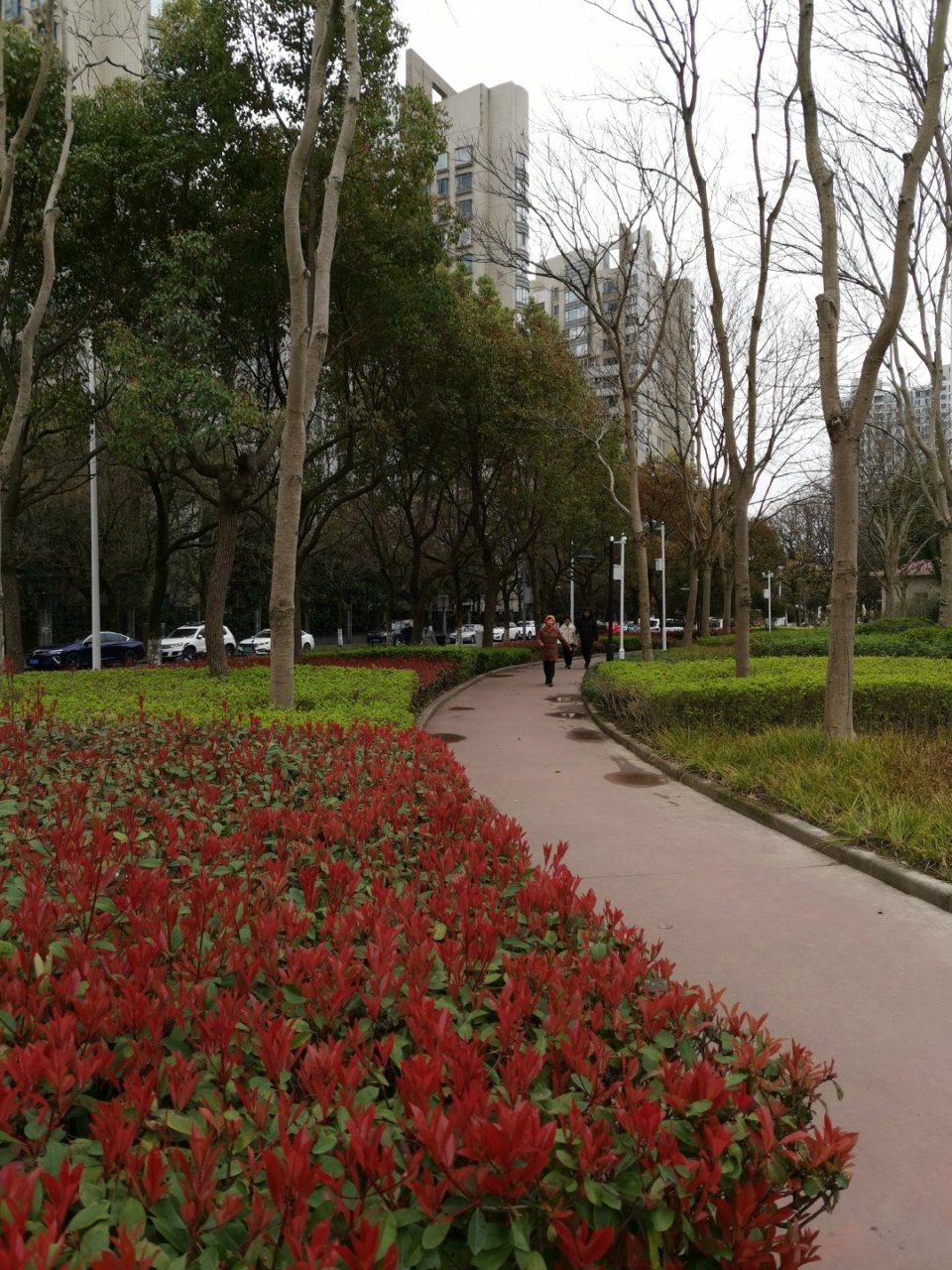 每日打卡# 社区生活喜洋洋,浦东花木街 一角.