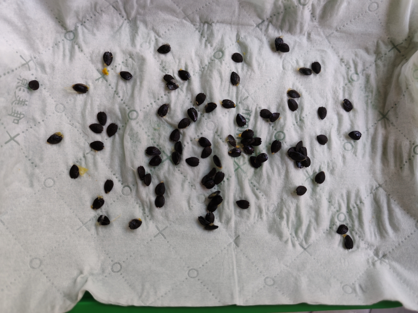 猜我要干嘛? 过段时间来交作业