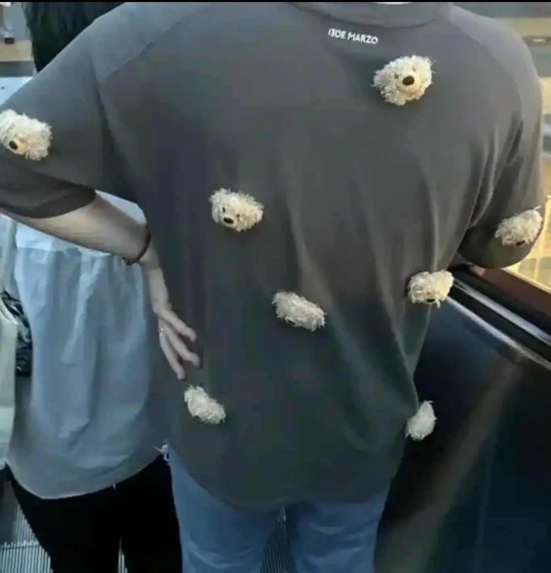 好想拽下来一个带走,我愣是忍住了好奇心,毕竟那是他独特的风采,还是