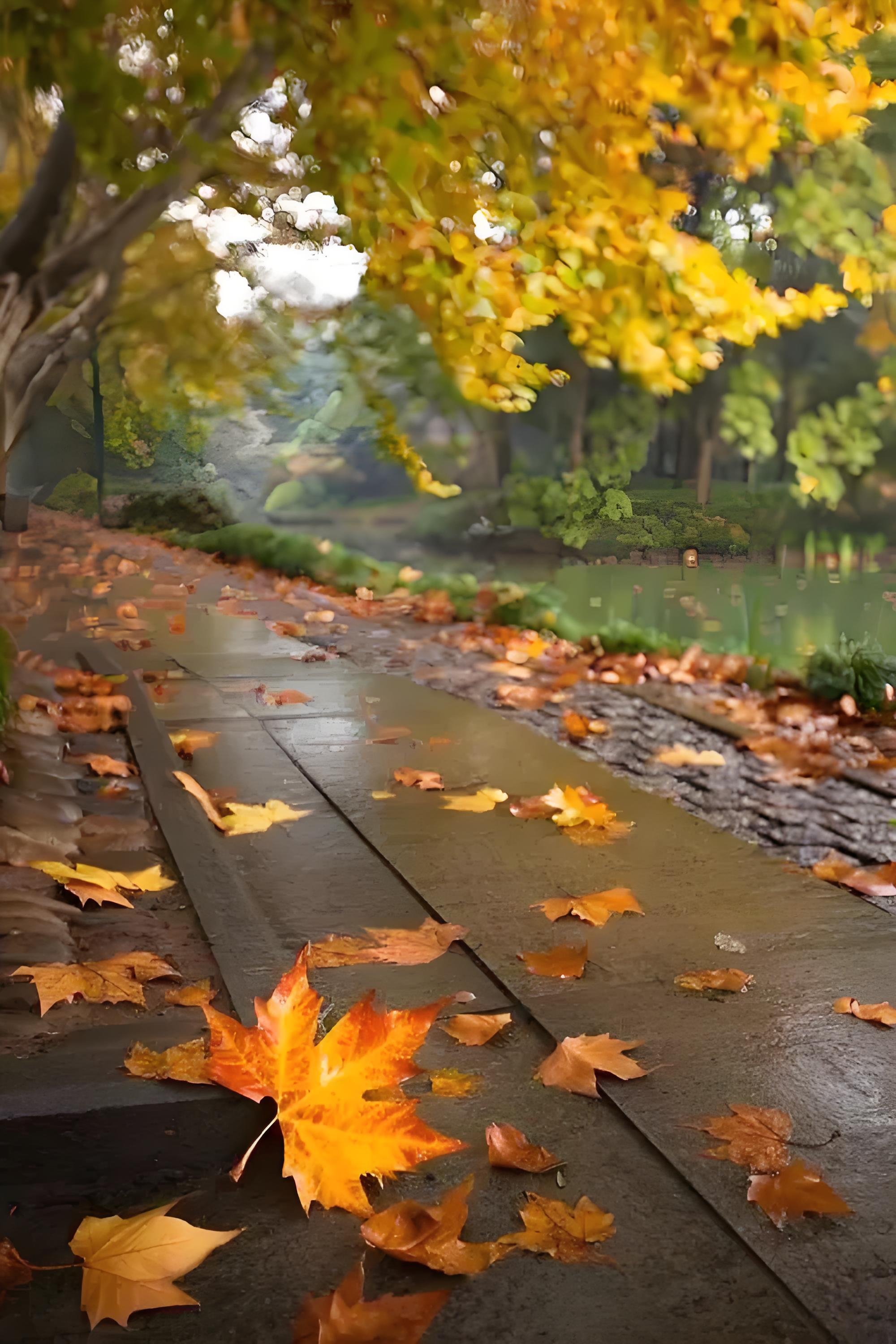 纷飞落叶入秋声, 相逐征鸿和韵鸣