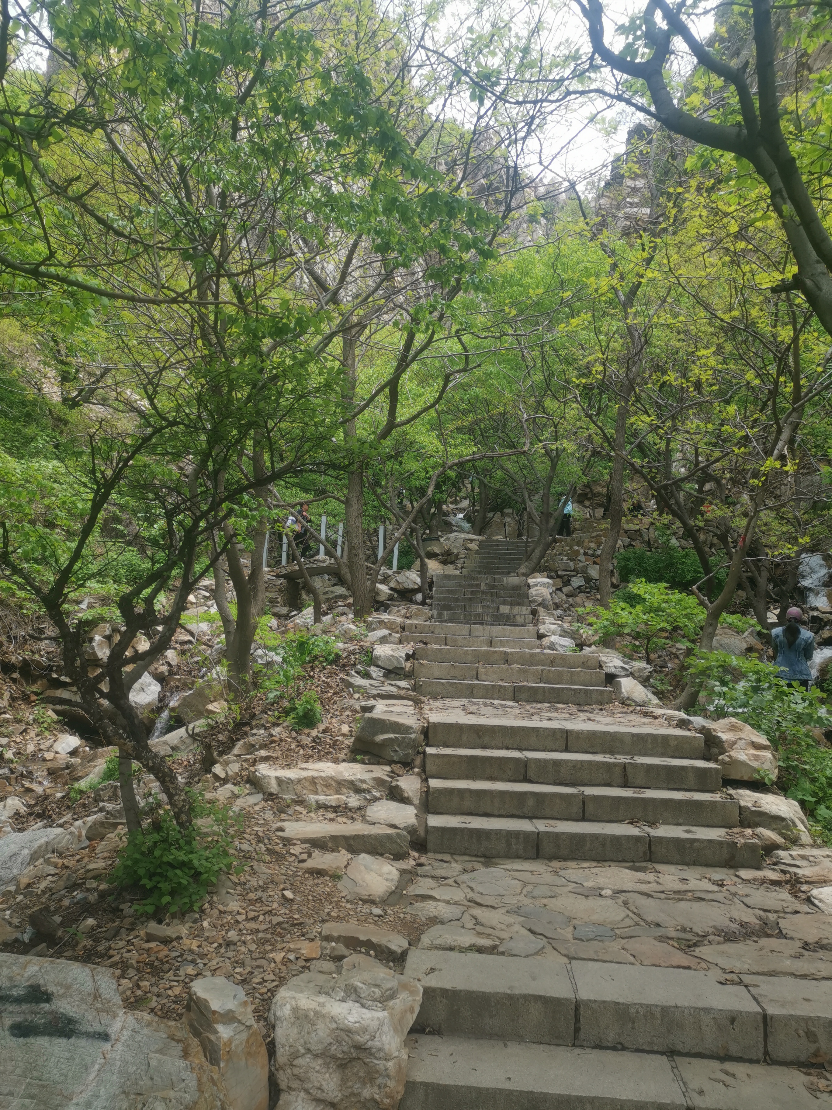 大连大黑山风景区,座落金州区,离城不远.山高林密,溪水湍急,别有洞天.