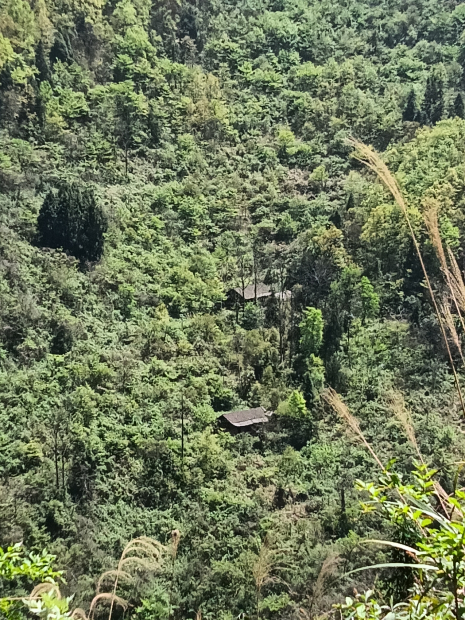 人生只求安稳,别追求太多,平淡一生特别是我们70后的人,背负了太多