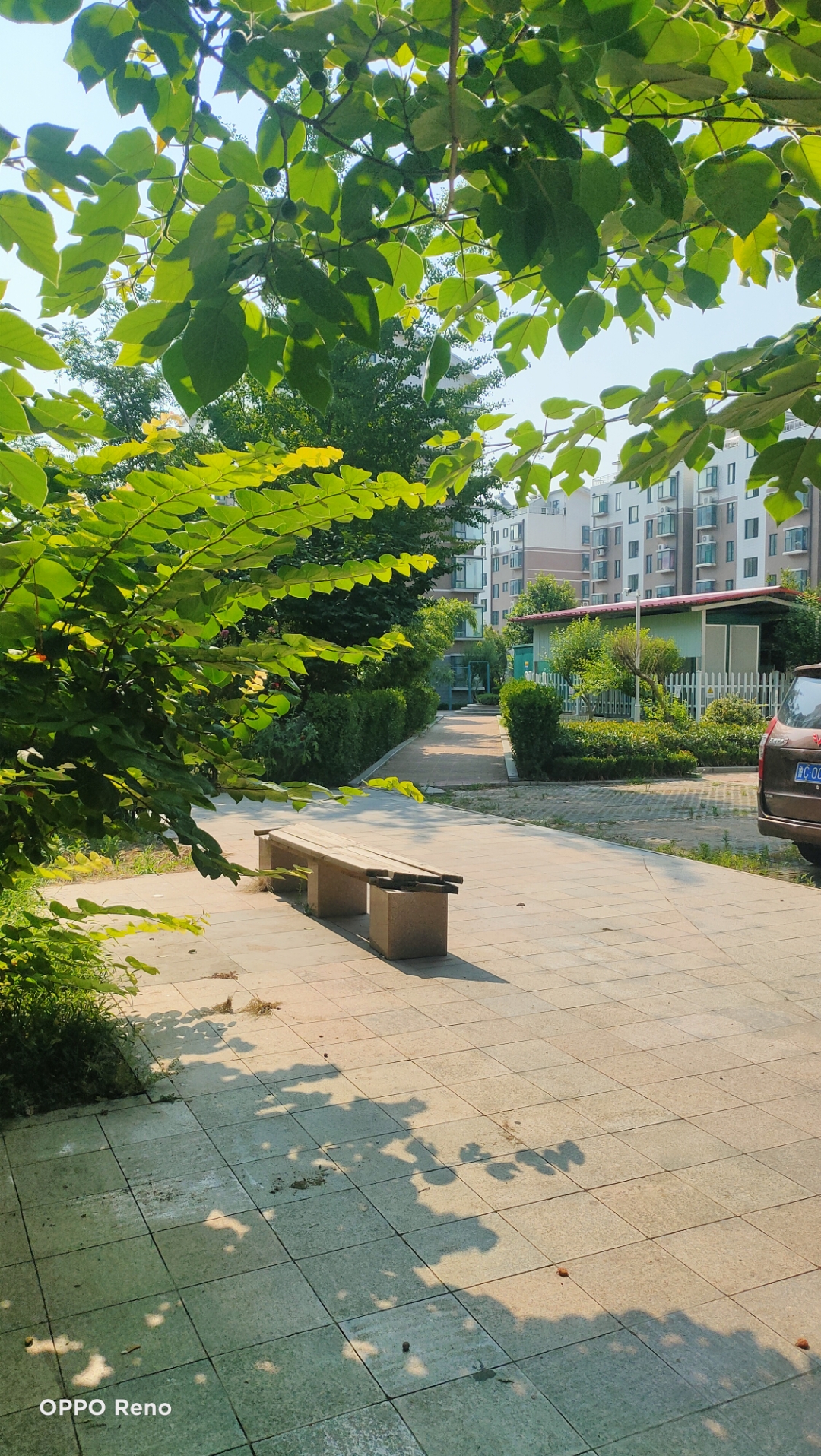 淄博[超话]#随手一拍《季夏之月》(一)  (写自2023岁次癸卯季夏月