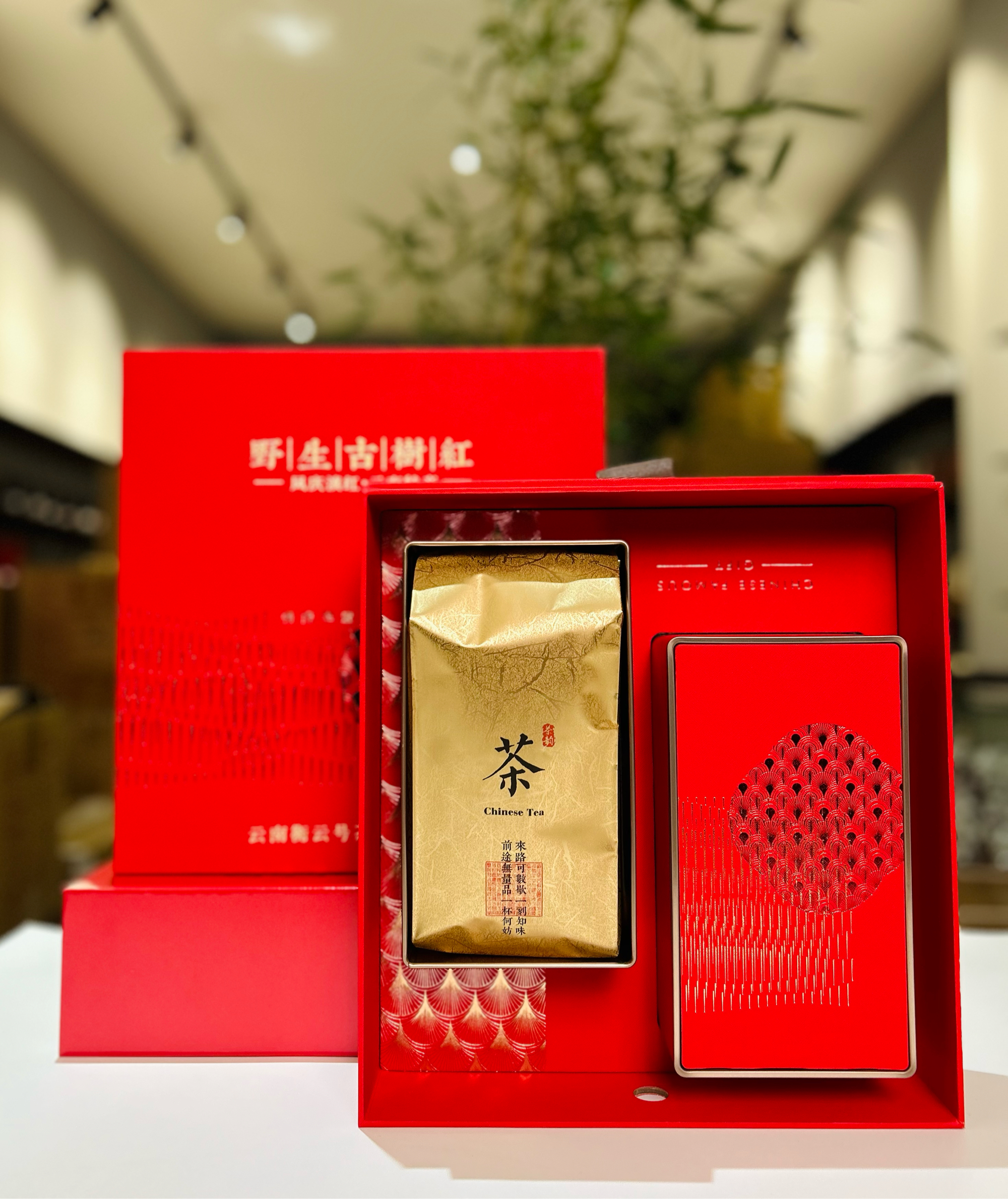 茶叶是野生的吗怎么辨别（茶叶是野生的吗怎么辨别真伪） 茶叶是野生的吗怎么辨别（茶叶是野生的吗怎么辨别真伪）《茶叶有野生的吗》 茶叶资讯