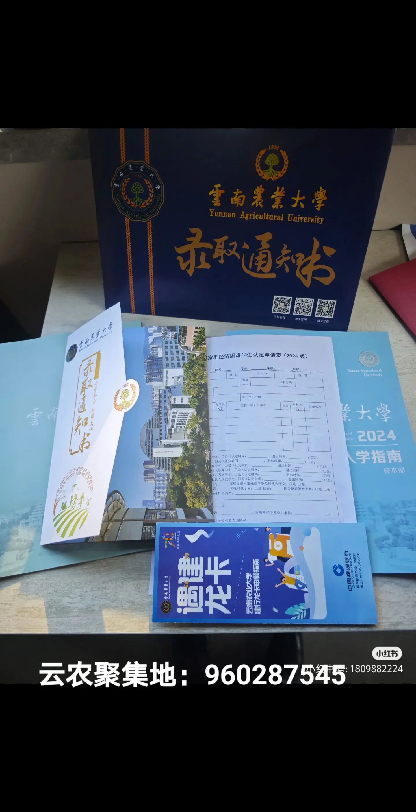 云南农业大学李元图片