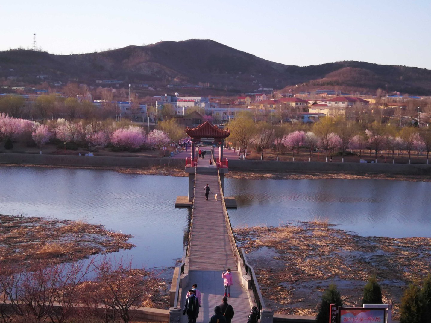 亲们判断一下下面四张照片分别是什么季节的,这是锦州女儿河公园悬索