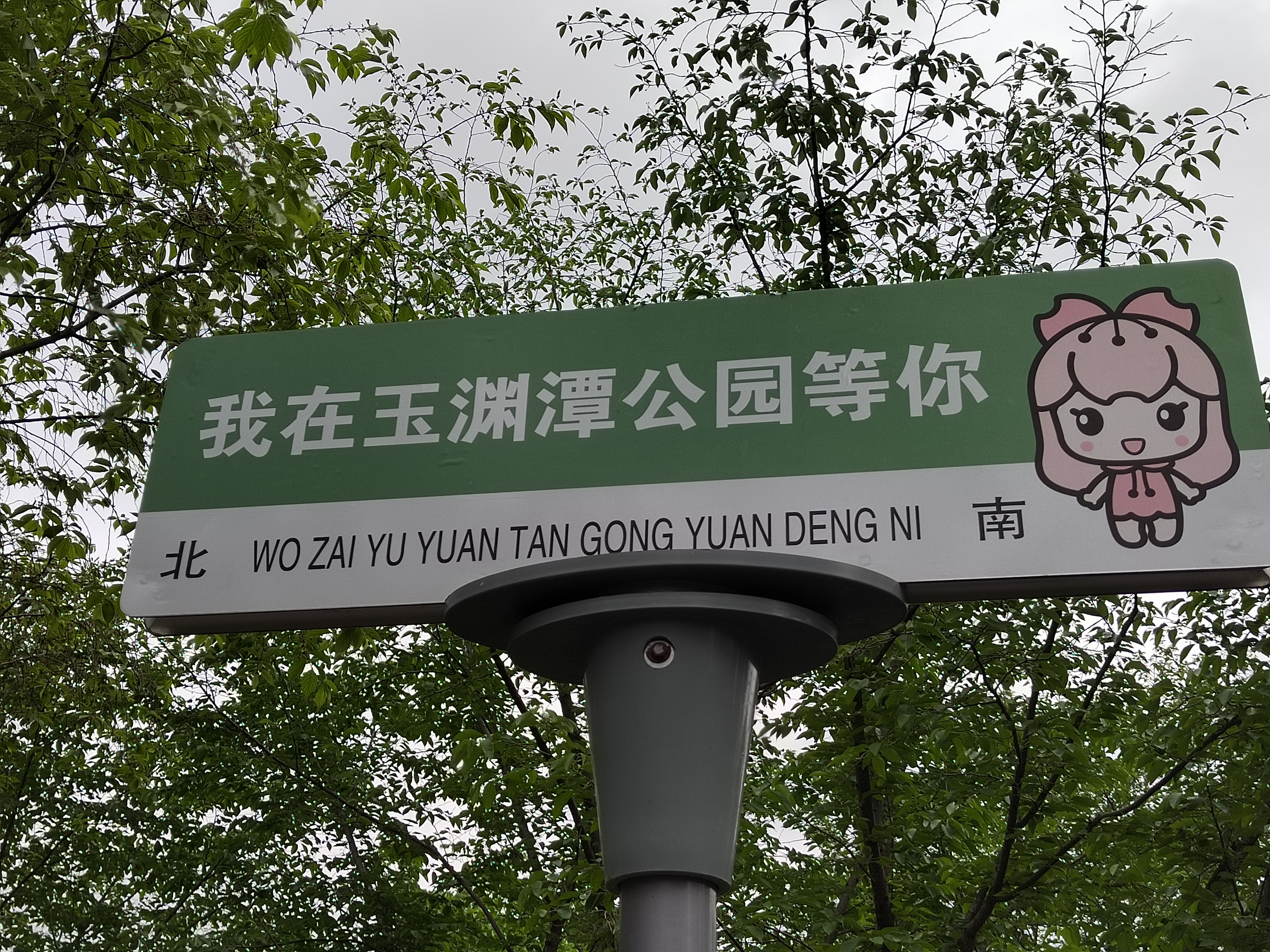 春夏之交的北京玉渊潭公园风景如画,景色秀丽