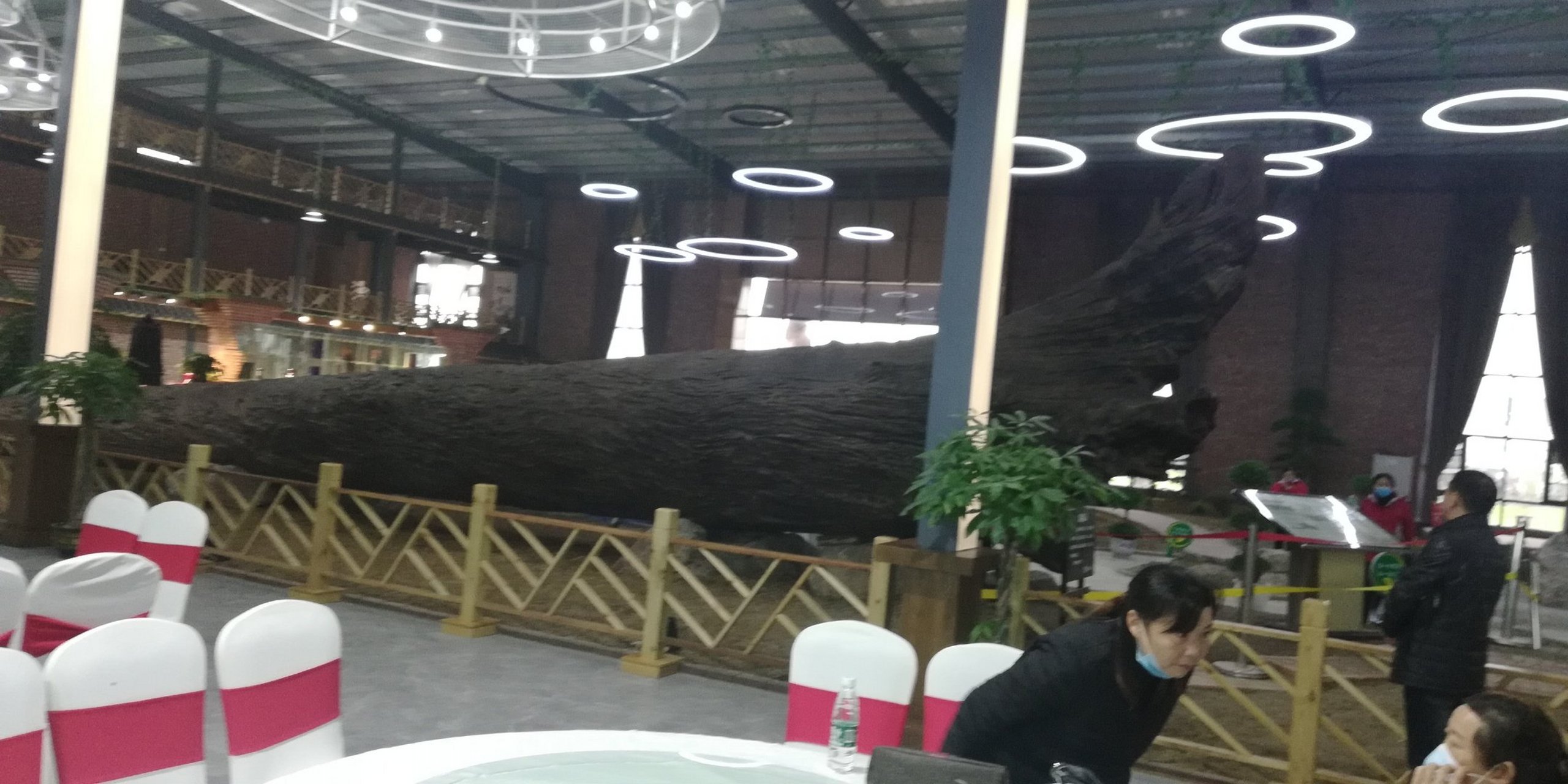 咋天是去荆州市沙市区岑河镇东方神木馆看3000年前深埋地下金丝楠木