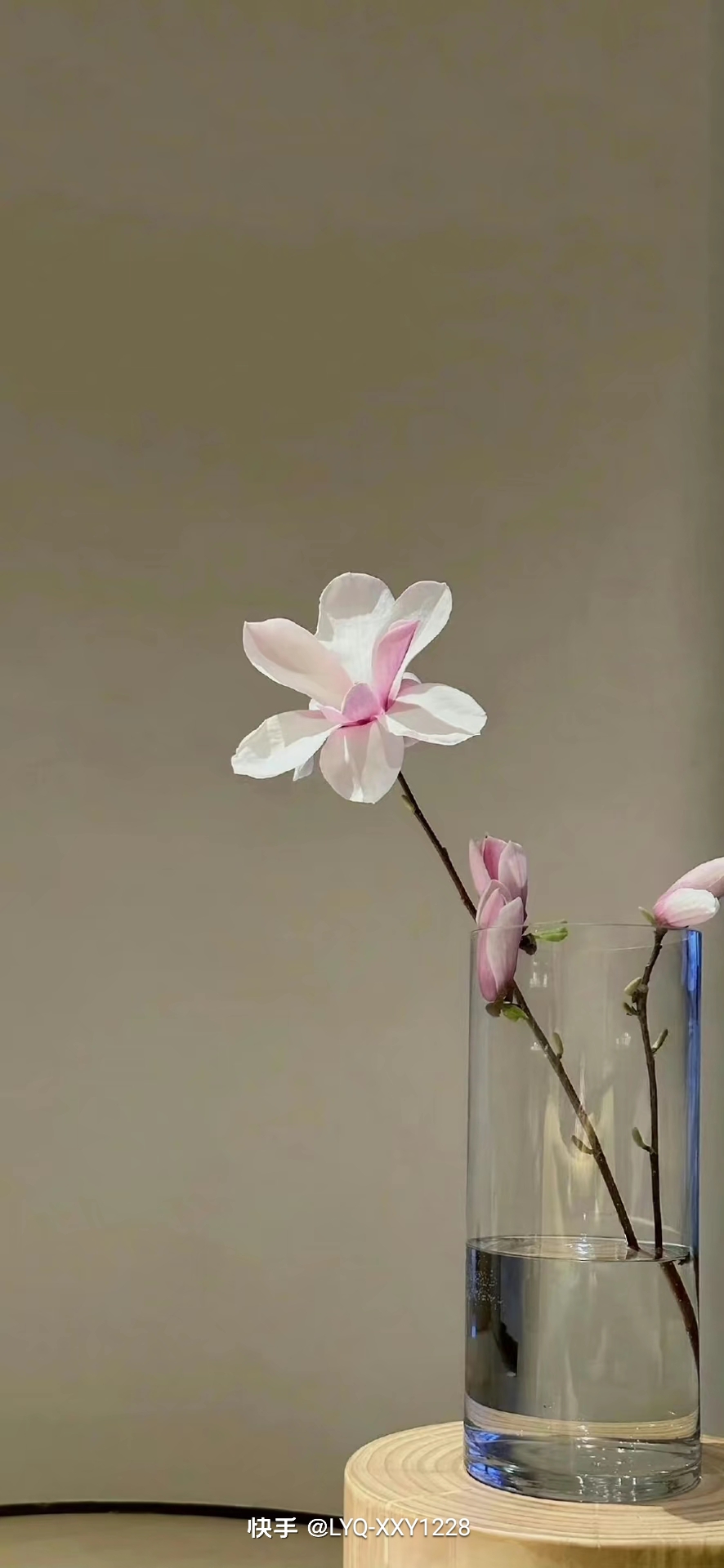 959491在一片翠绿的草地上,有一朵洁白如瑕的小花,它独自绽放