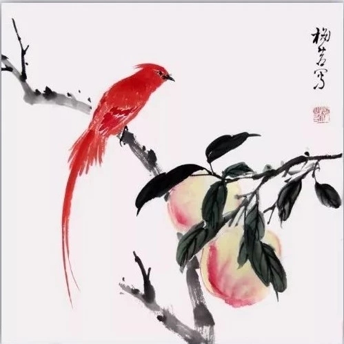 名家小鸟写意国画作品分享