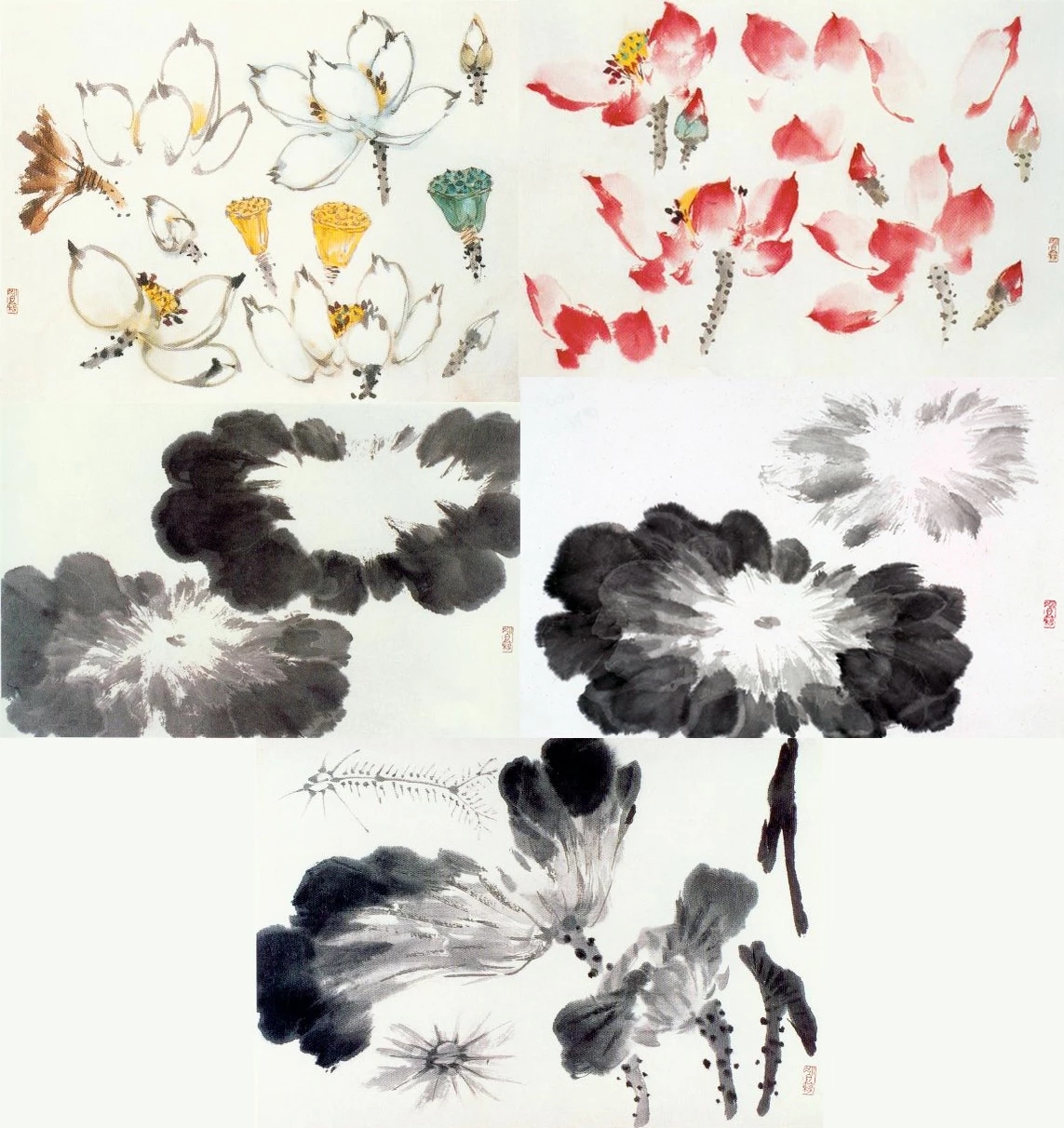 花卉绘画步骤分解局部   国画写意花鸟