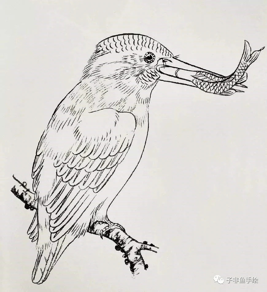 白描线稿分享  一起来学习画工笔画吧[欧耶]