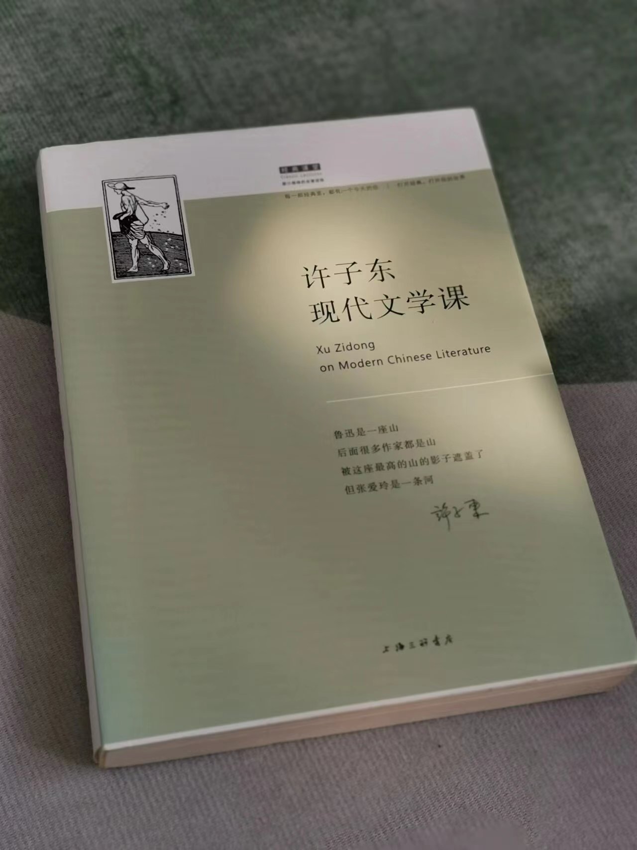 书名 《许子东现代文学课》作者 许子东    这本书断断续续看了