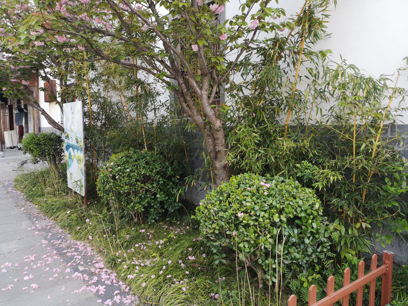 万籁俱静的小路  文/阳光牧场  万籁寂静的小路,我不时 停住脚步,树叶