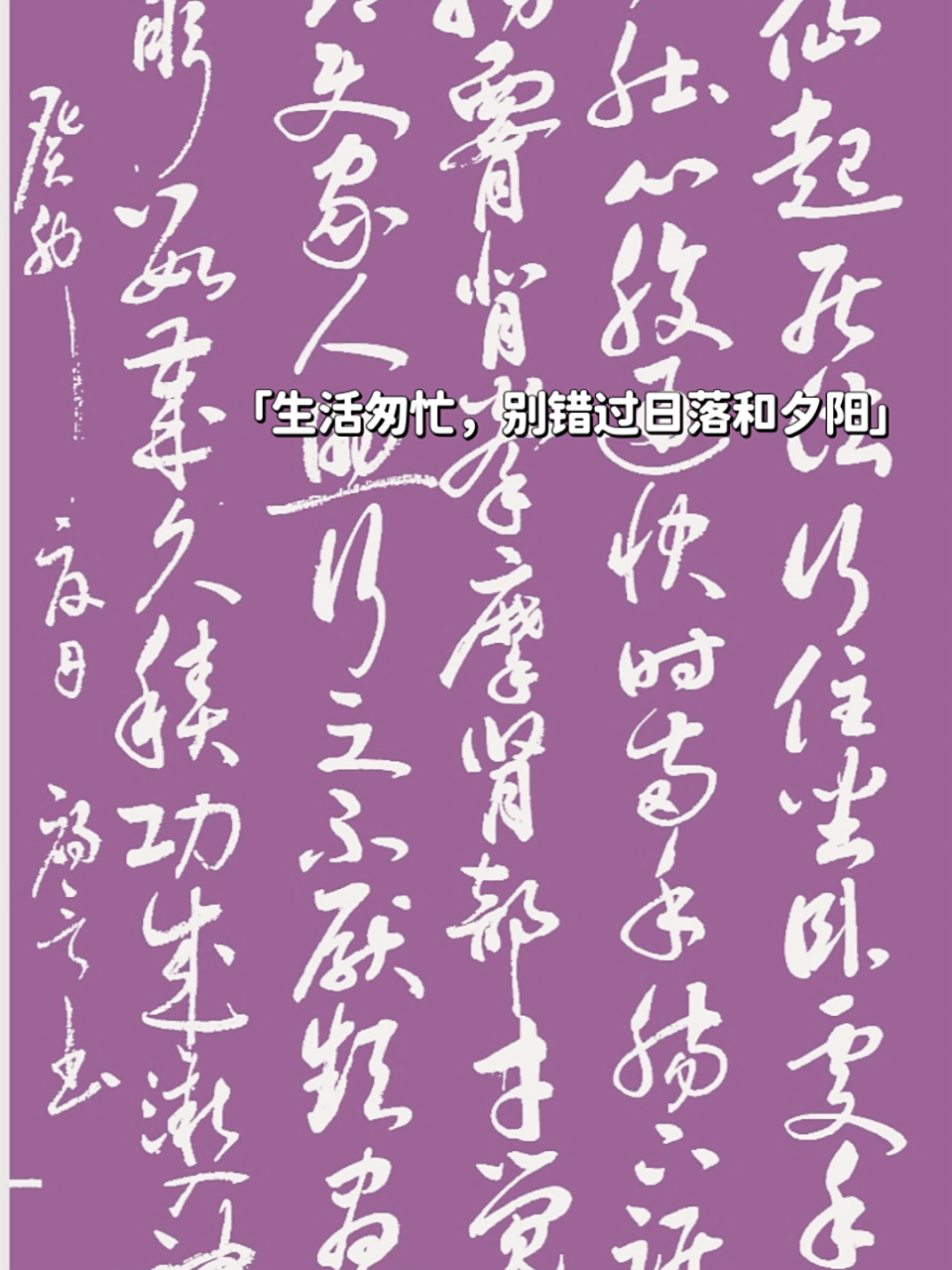 草书,神仙起居法,释文如下图