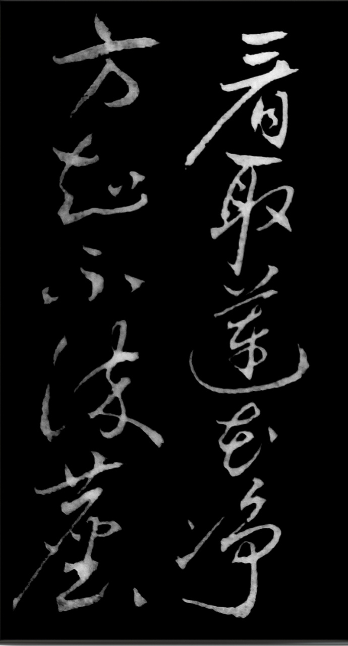 每天一首古诗,杜甫,题义公禅房