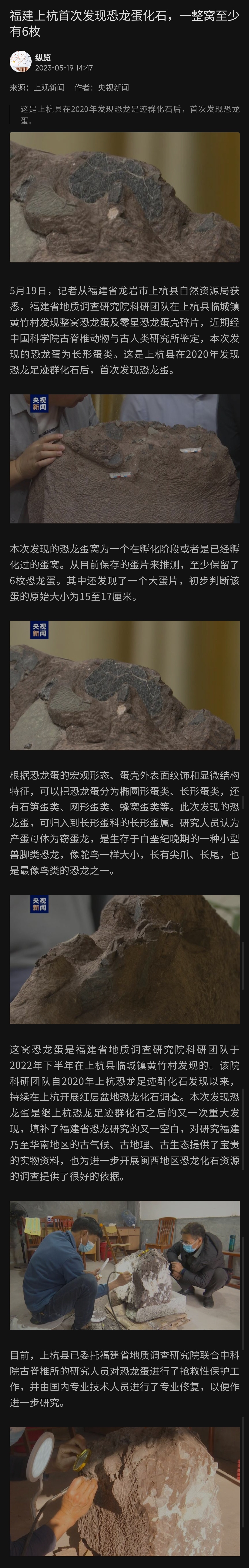 福建上杭县临城镇黄竹村出土的恐龙蛋化石,如果这个恐龙蛋的胚胎已经