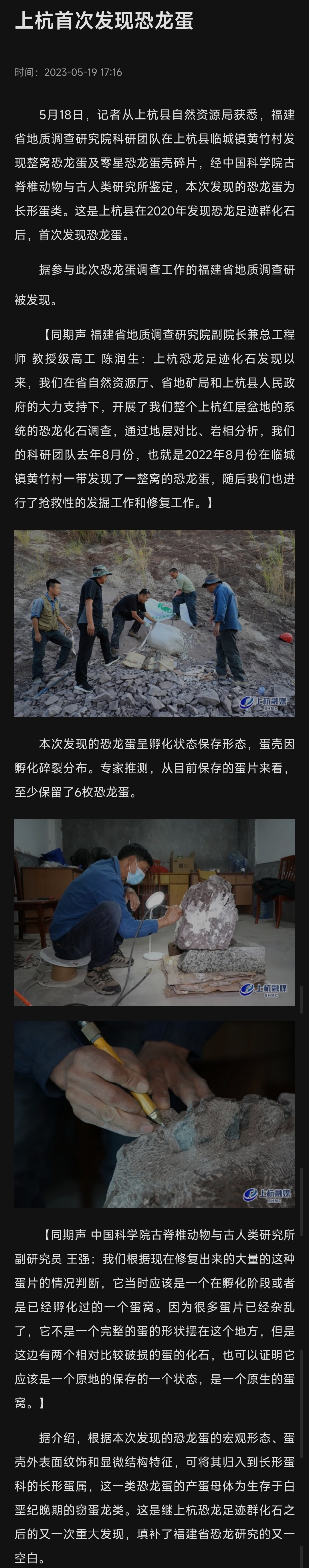 福建上杭县临城镇黄竹村出土的恐龙蛋化石,如果这个恐龙蛋的胚胎已经