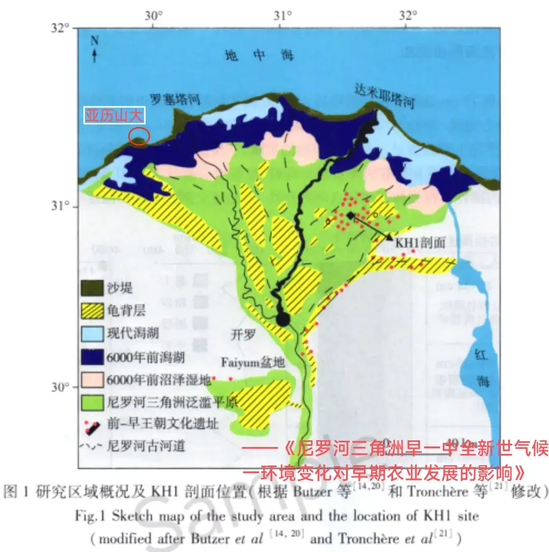 尼罗河三角洲2000年前还在海底下了这回换成潟湖沼泽龟背地形来说
