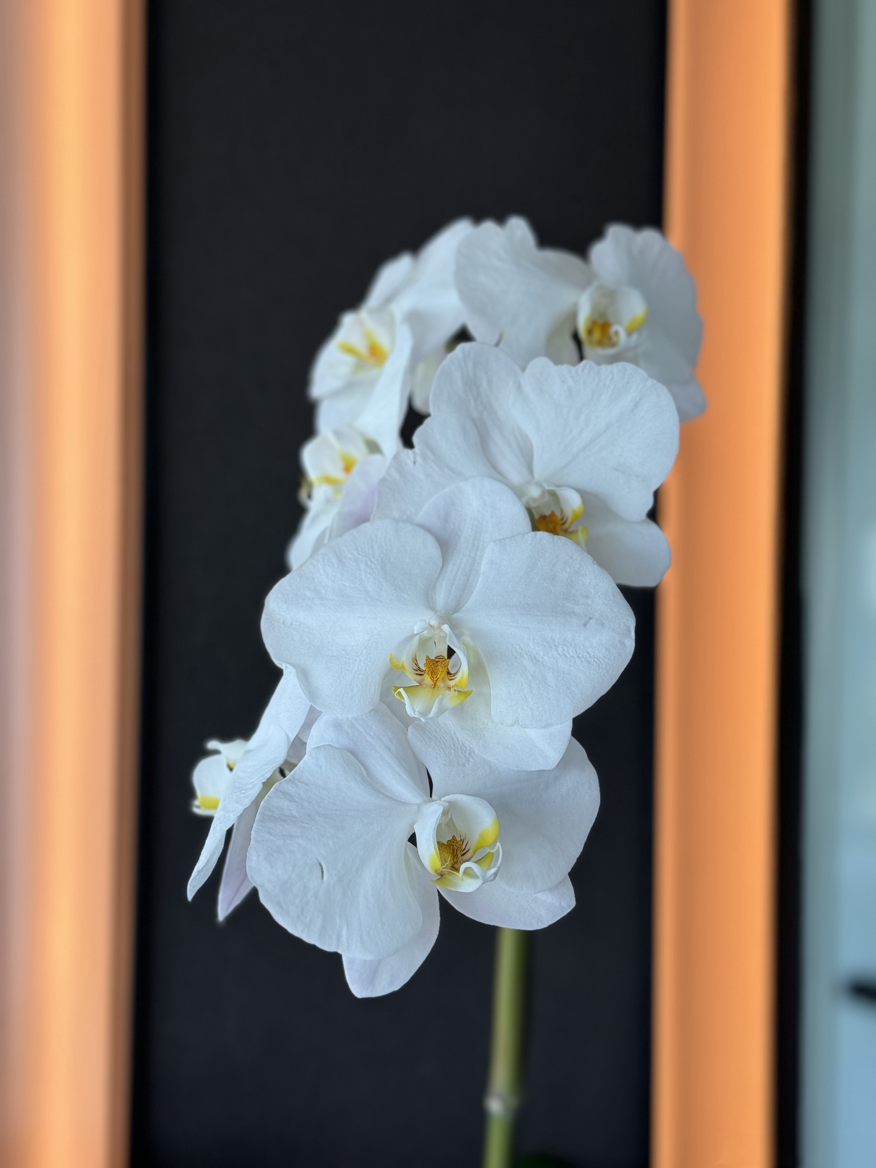 周末当然要安排个临江大酒店,犒劳辛苦一周的自己[强颜欢笑]#美女