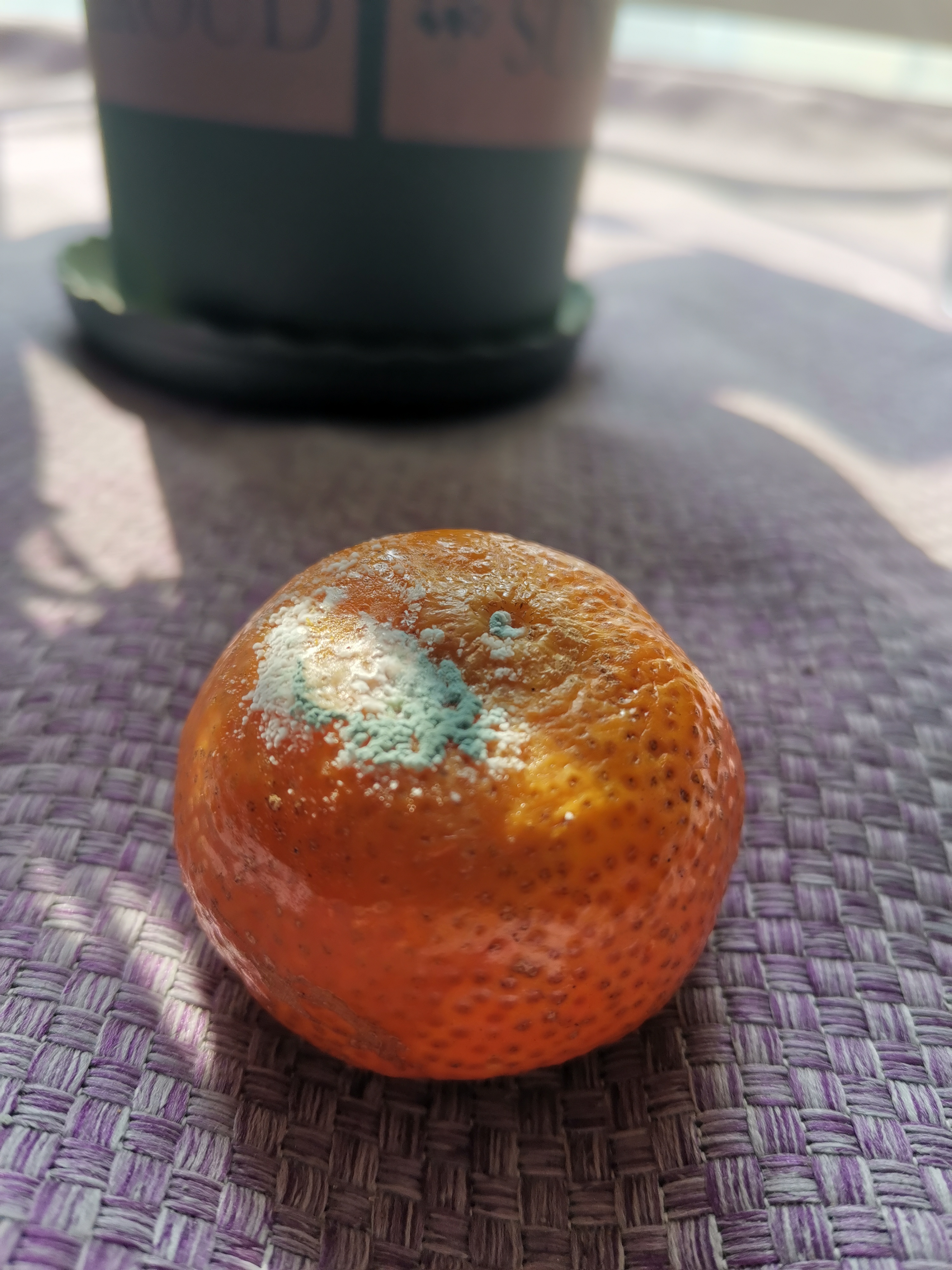 橘子烂了,哈哈[左捂脸]