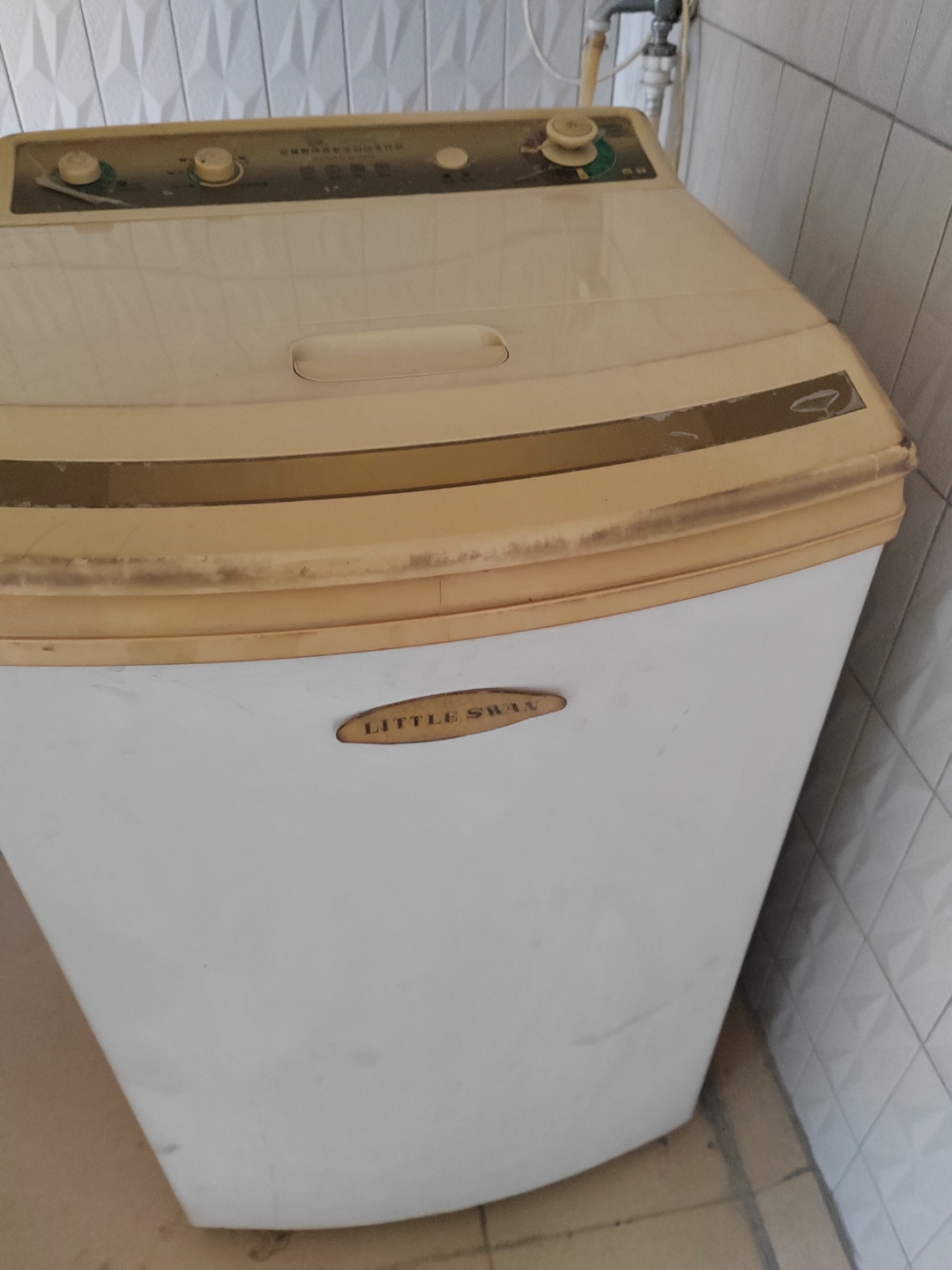 这个小天鹅是哪年的产品呢?