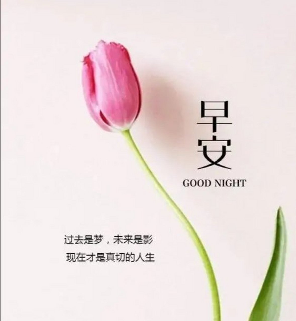不忘初心,温暖前行是什么意思(不忘初心,温暖前行是什么意思呀)
