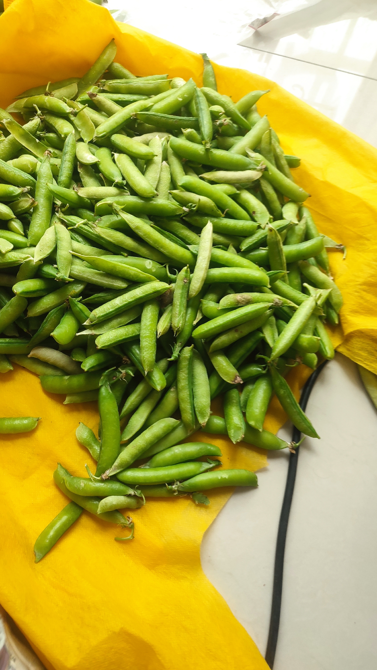 豌豆荚=豌豆荚app官方网