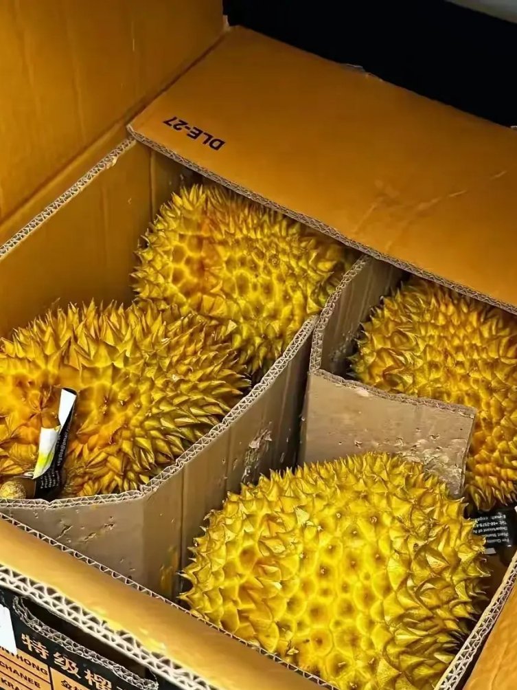 忙解一箱榴莲榴莲一箱图片一箱榴莲图片真实的箱装榴莲图片真实实拍箱