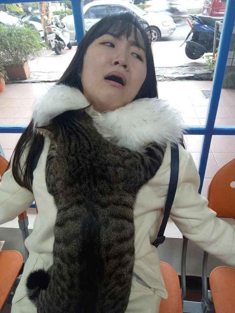 萌宠#一般都是人吸猫,这个小姐姐厉害了,愣是整成了猫吸人!