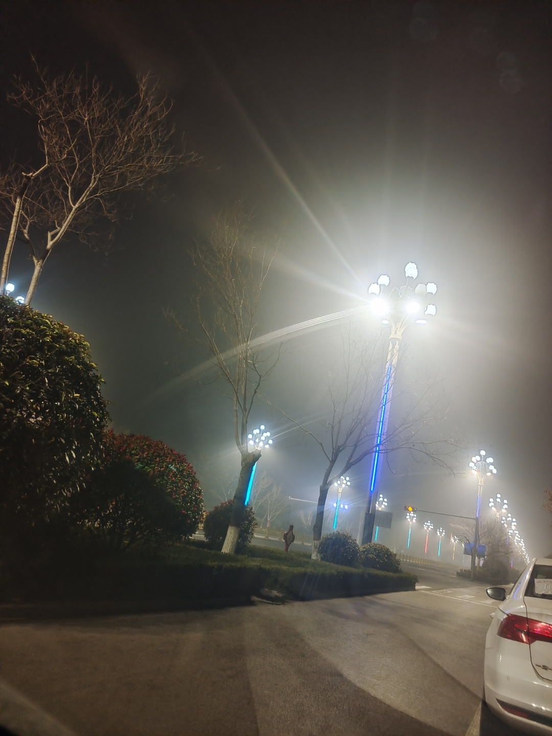 真实图片风景路灯图片