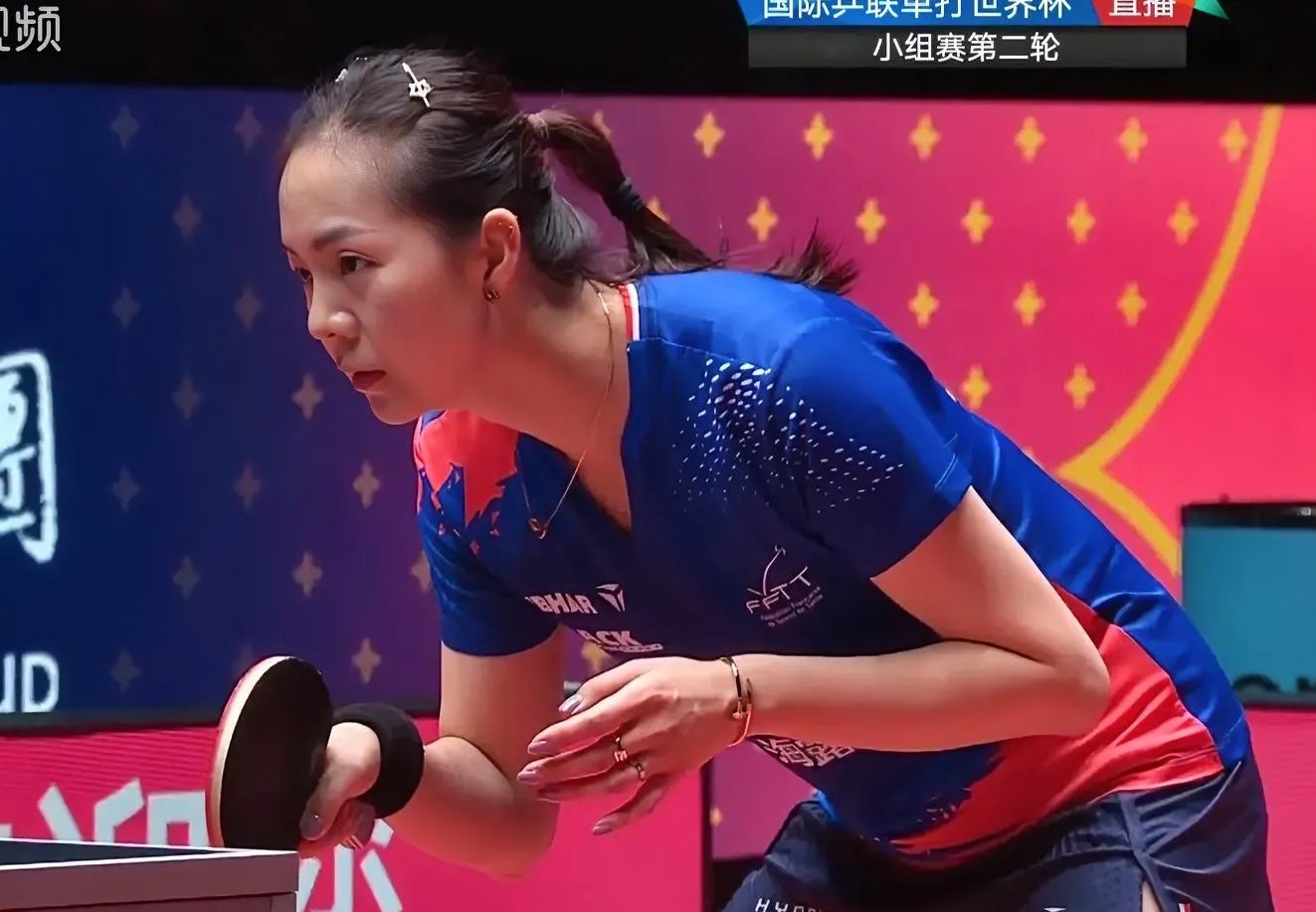 袁嘉楠,1985年7月11日出生在中国河南省郑州市,是一名法国乒乓球