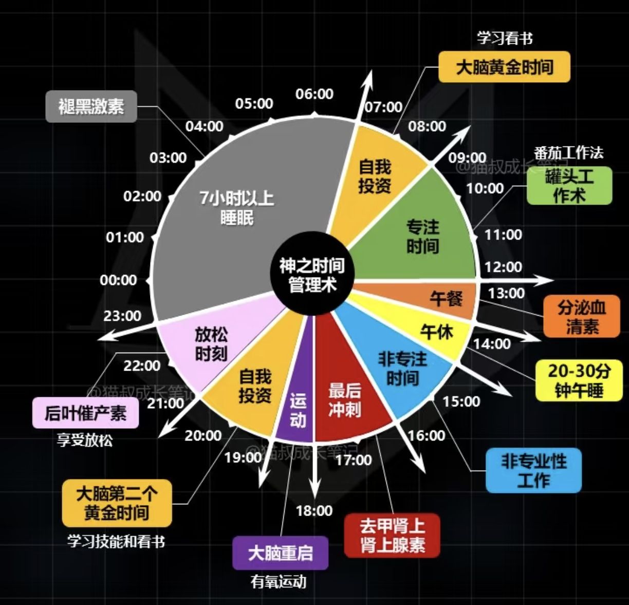 每天的黄金时间都