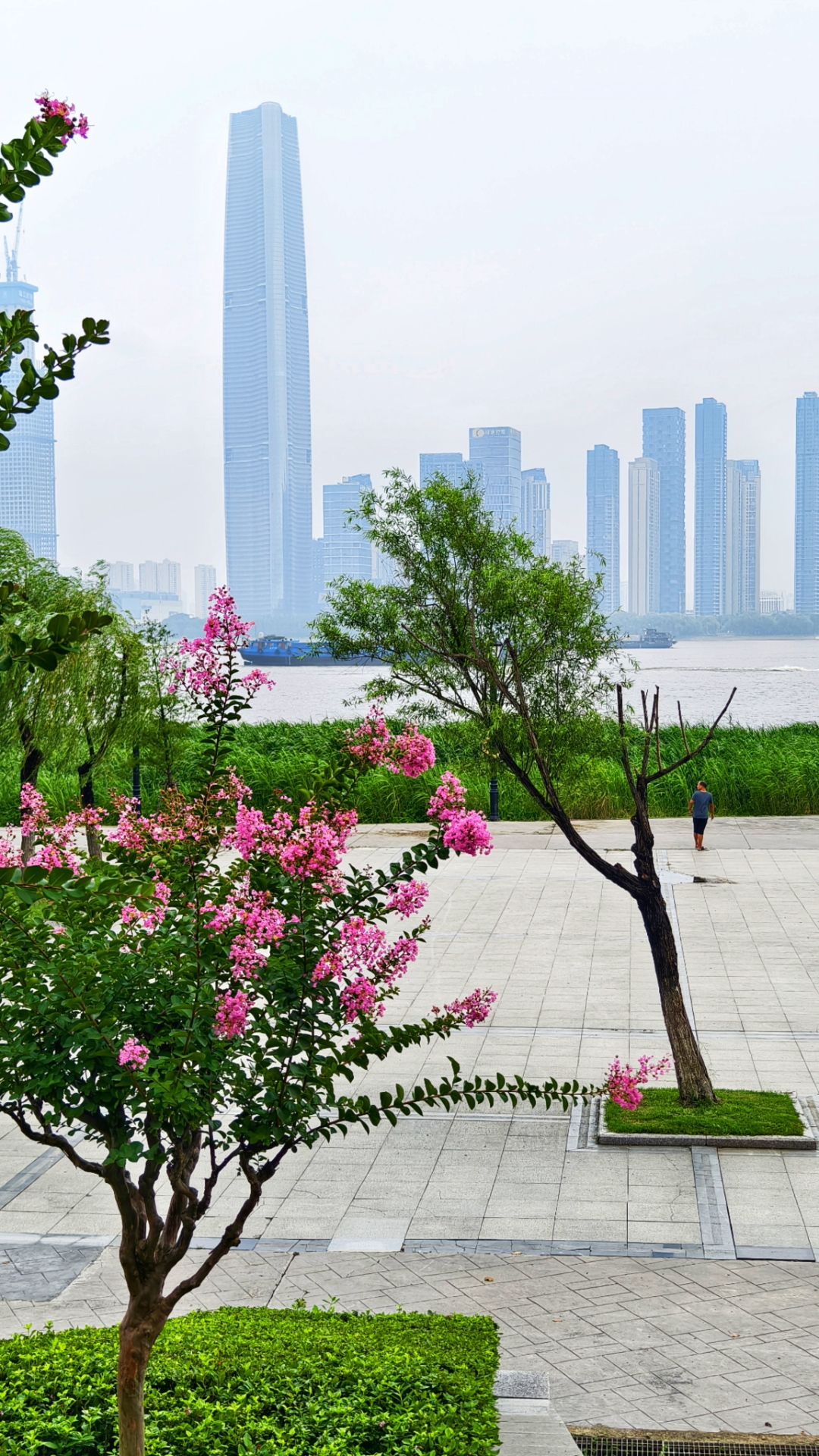 武汉的江汉路,江滩公园,黎黄陂路城市建筑.