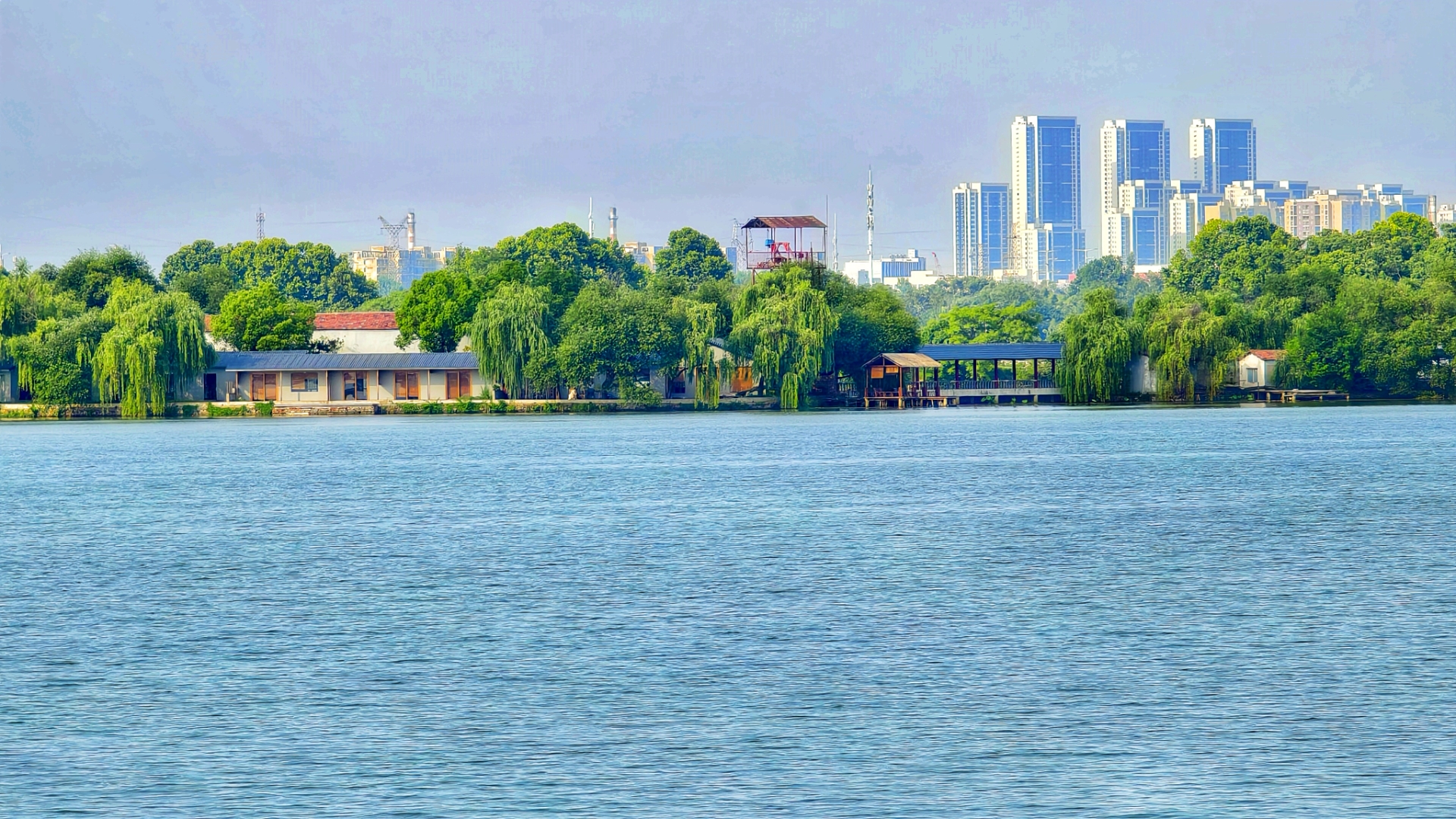 东湖风景图片大全图片