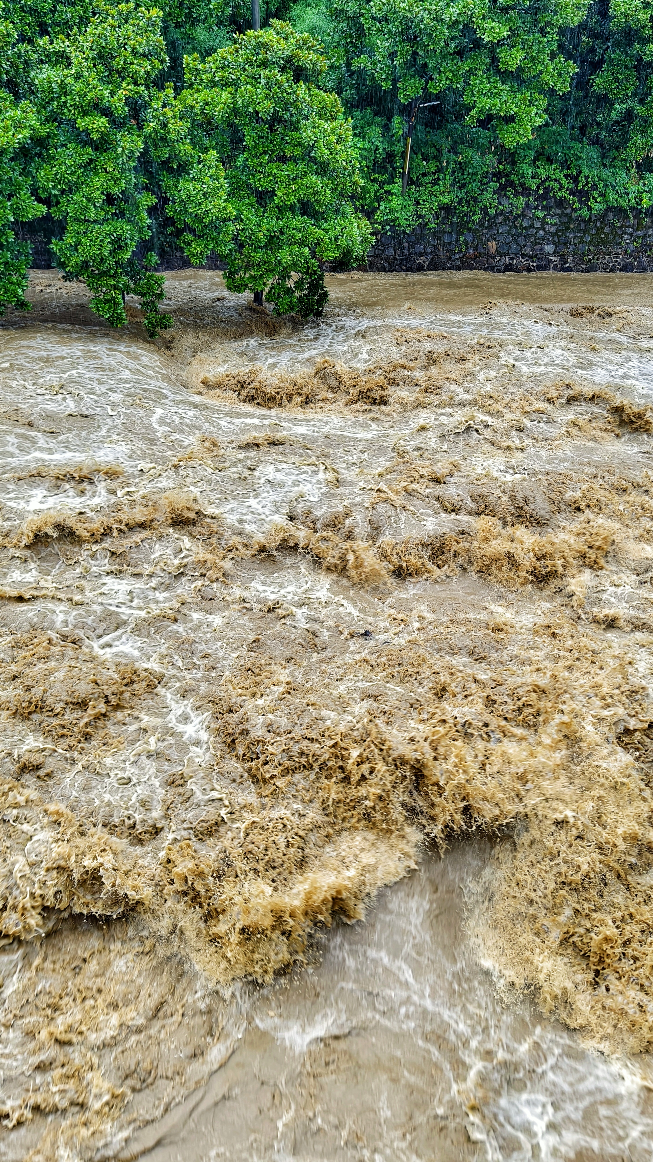 "格美"到资兴:混浊的洪水咆哮奔腾,屋檐的雨水形成扇型瀑布,三角梅被