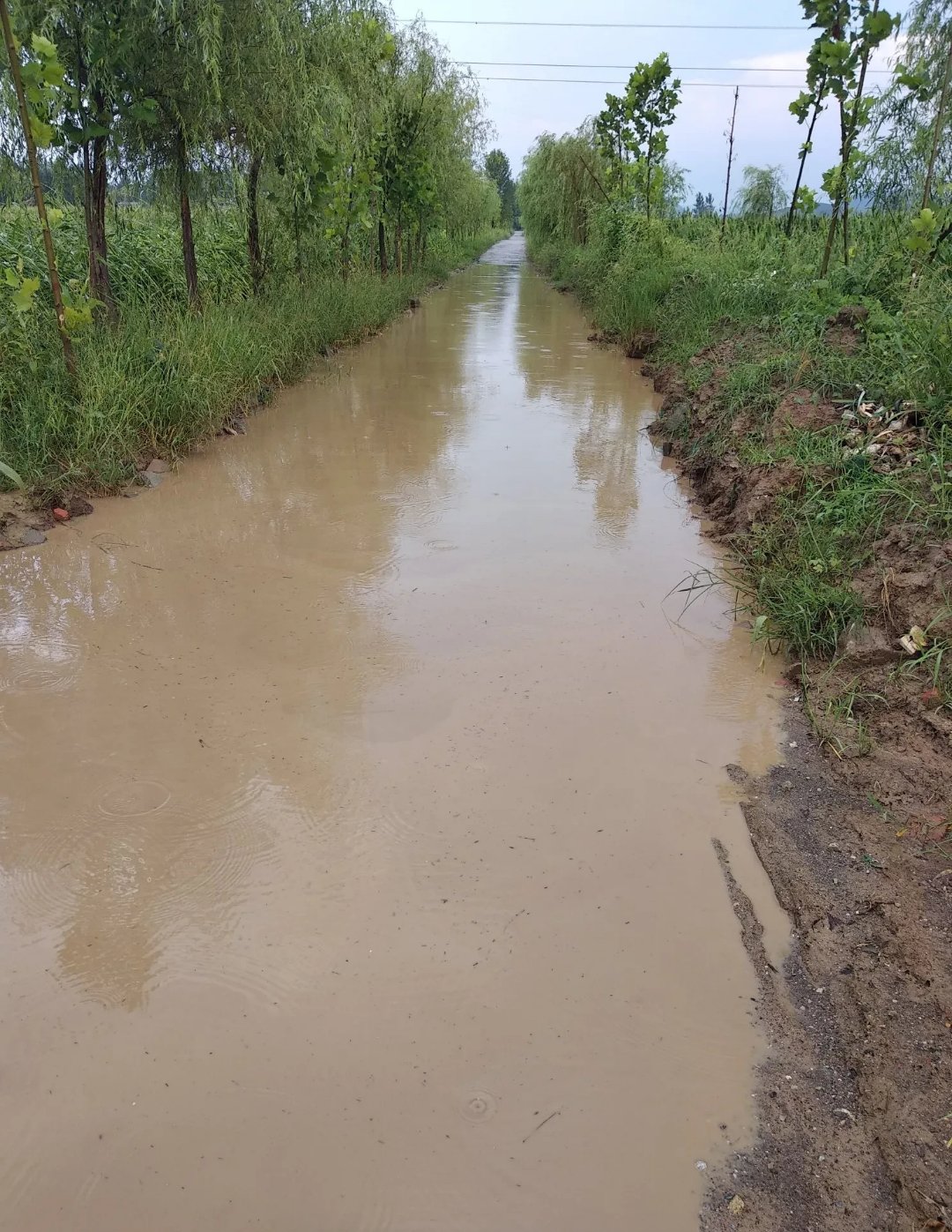 整条土路都是水农村泥泥巴路图片雨天泥路土地雨水沉淀沟水淹路面