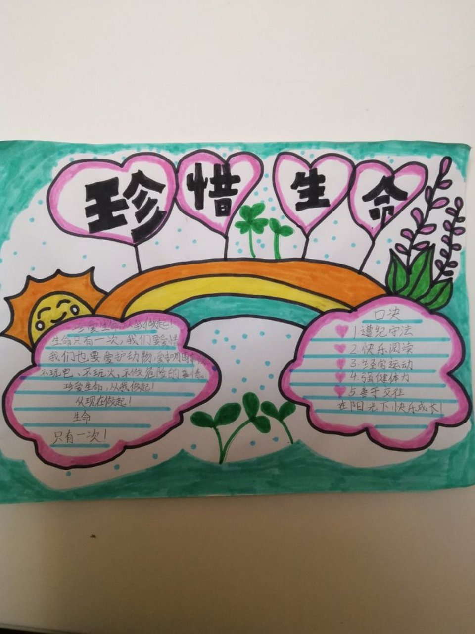 珍惜生命手抄报