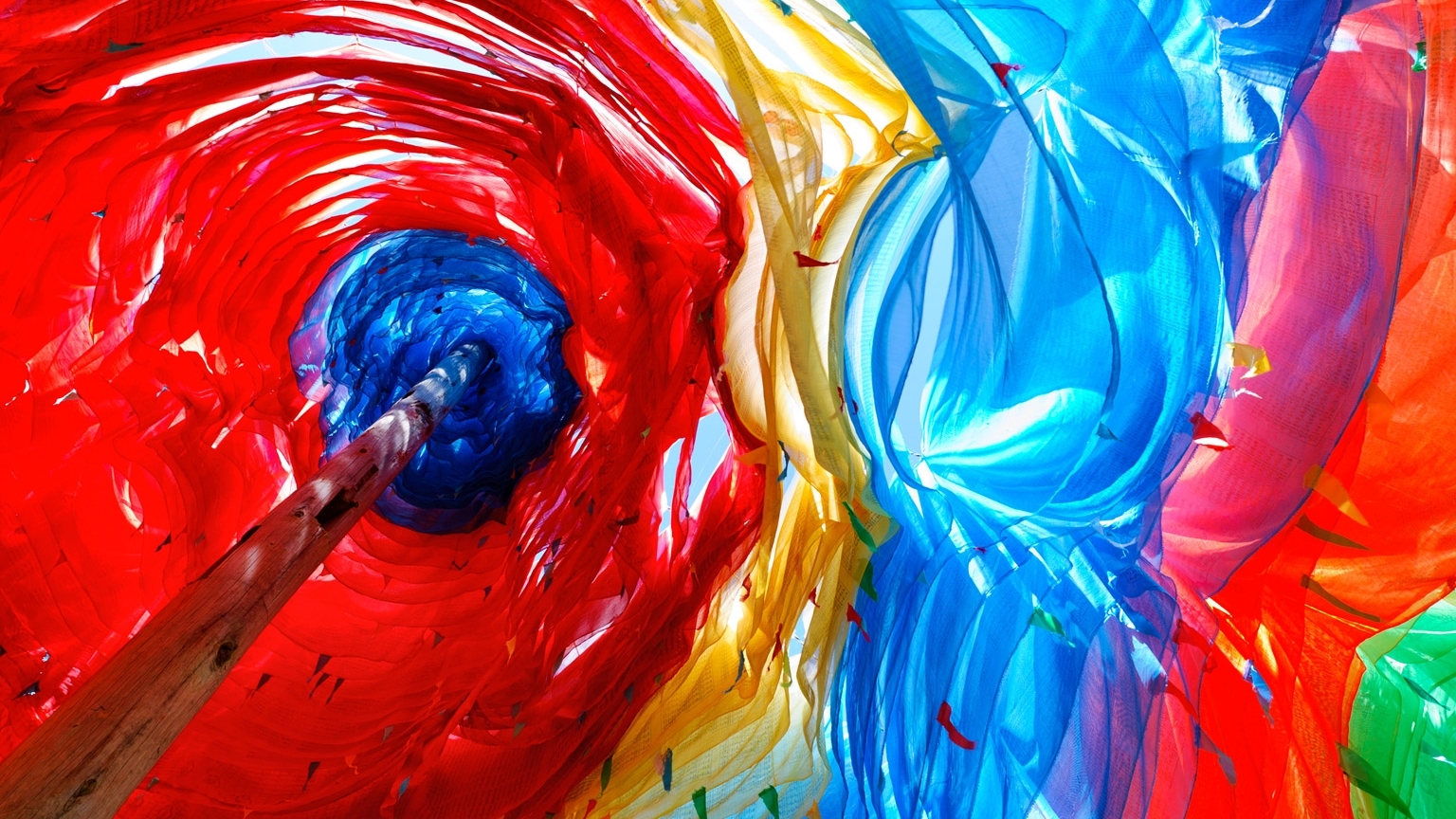 色彩飞扬的夏日,心情也跟着绚烂起来