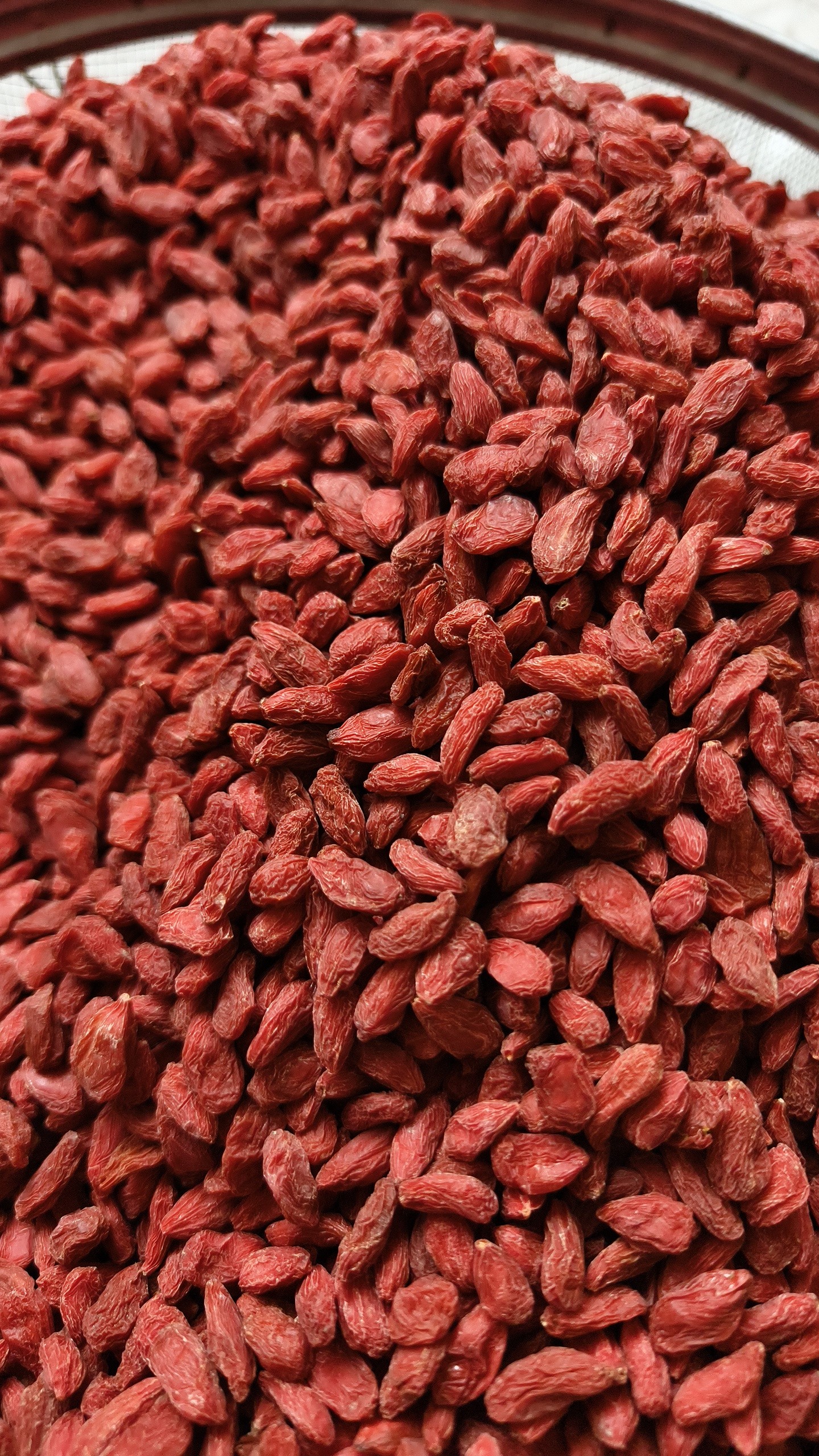 这不就是好枸杞吗?