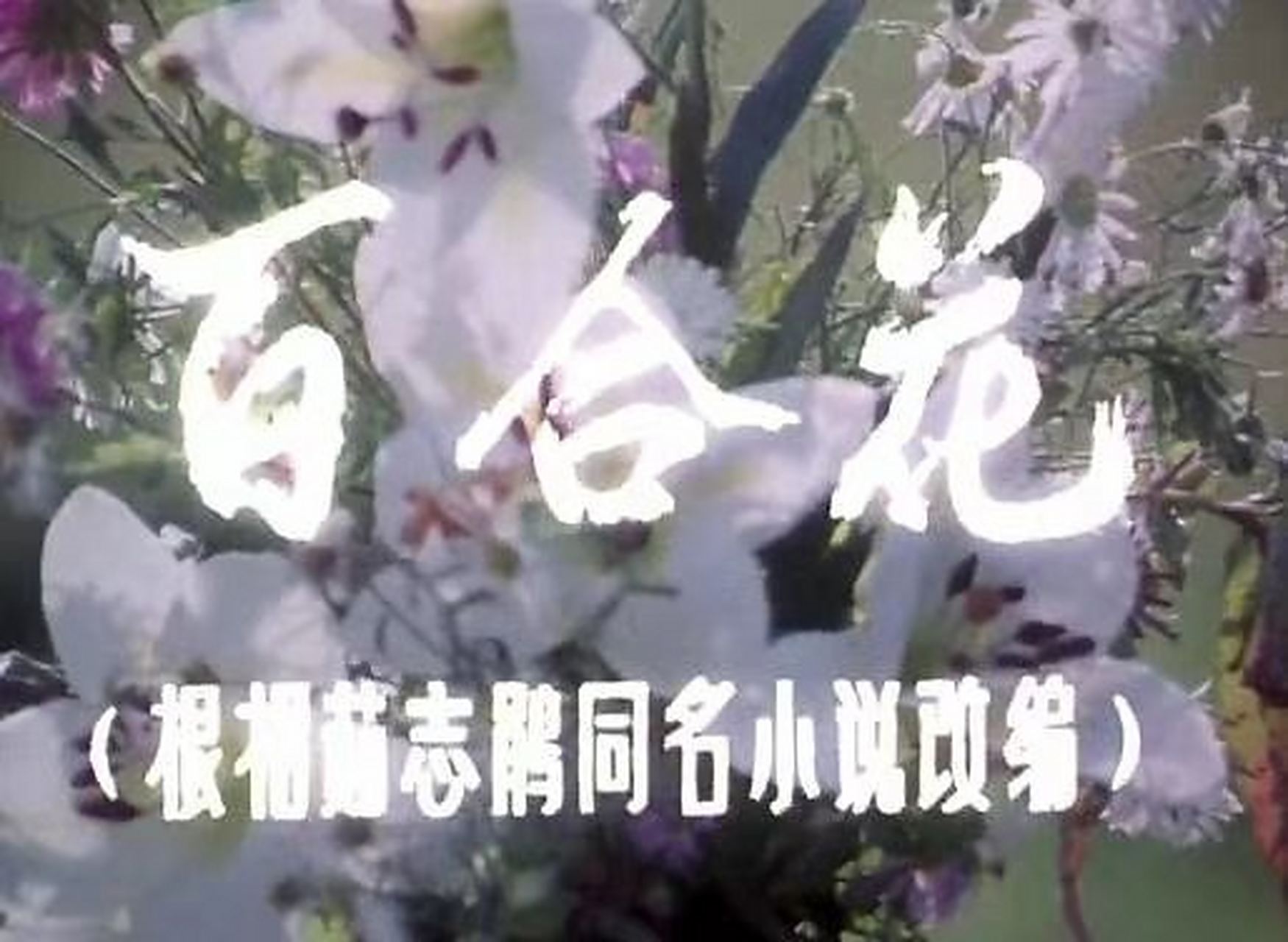电影《百合花》,北京电影学院青年电影制片厂摄制,钱学格张昕导演.