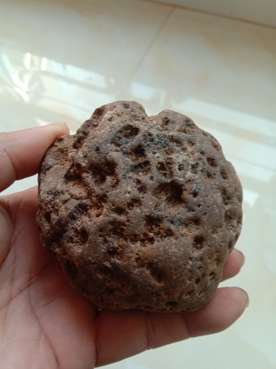 蜂窝状石头有弱磁性大家欣赏