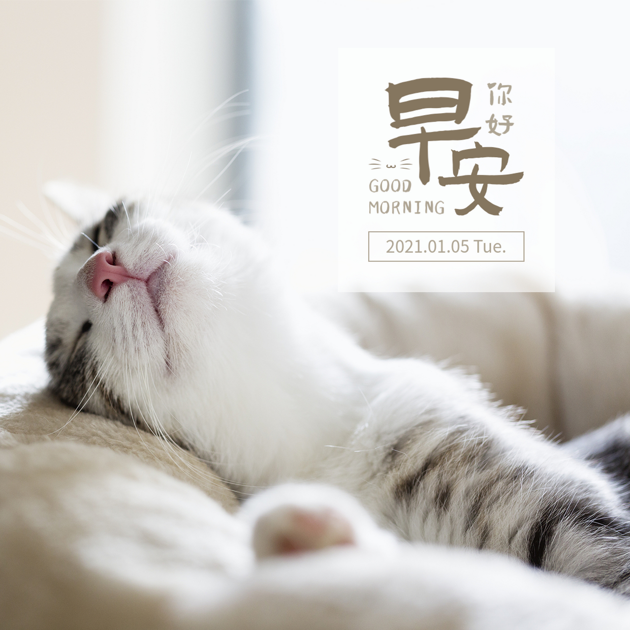 第斯多惠曾说过:"教学的艺术不仅在于传授的本领,而在于激励,唤醒