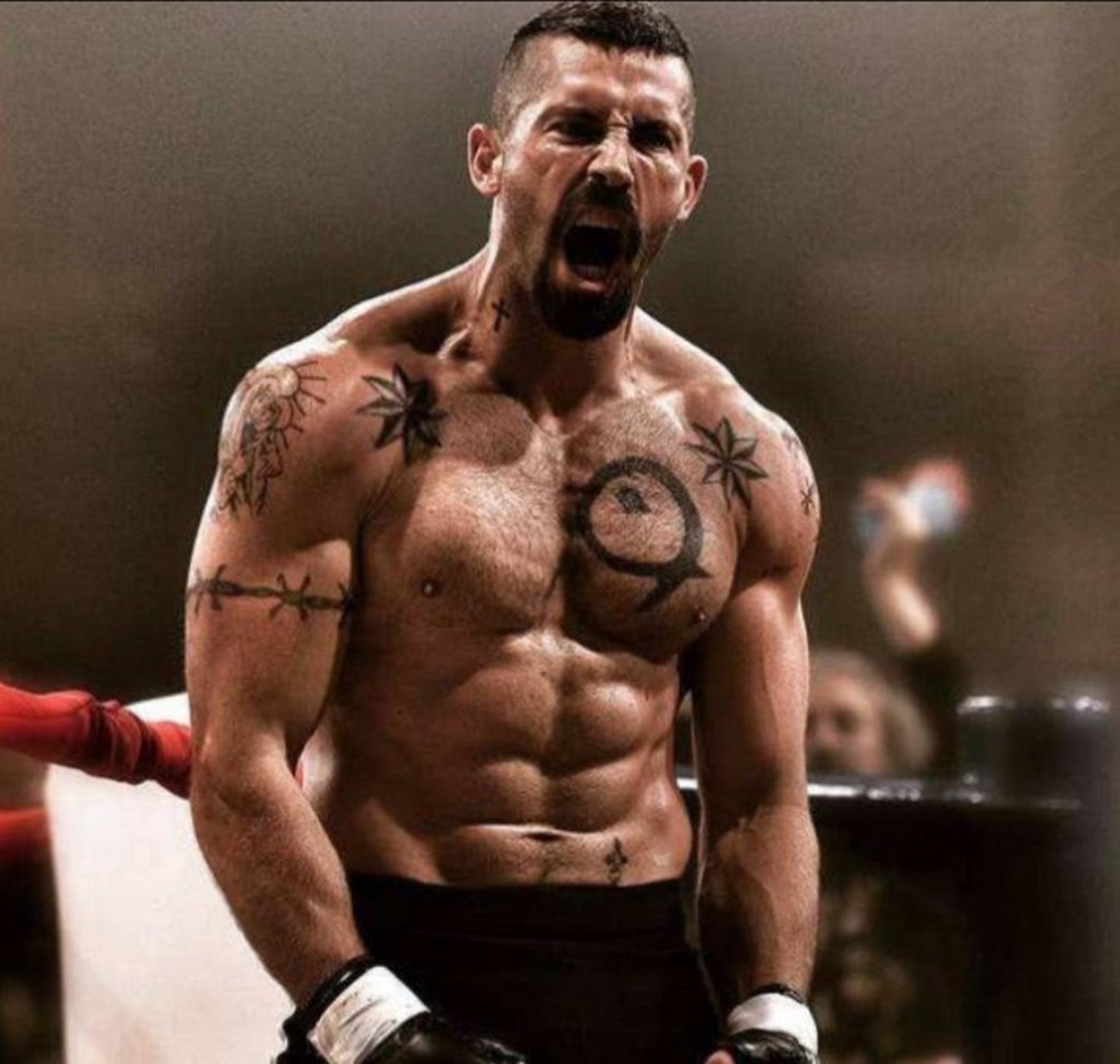 斯科特·阿金斯(scott adkins) 《终极斗士》中的博伊卡.