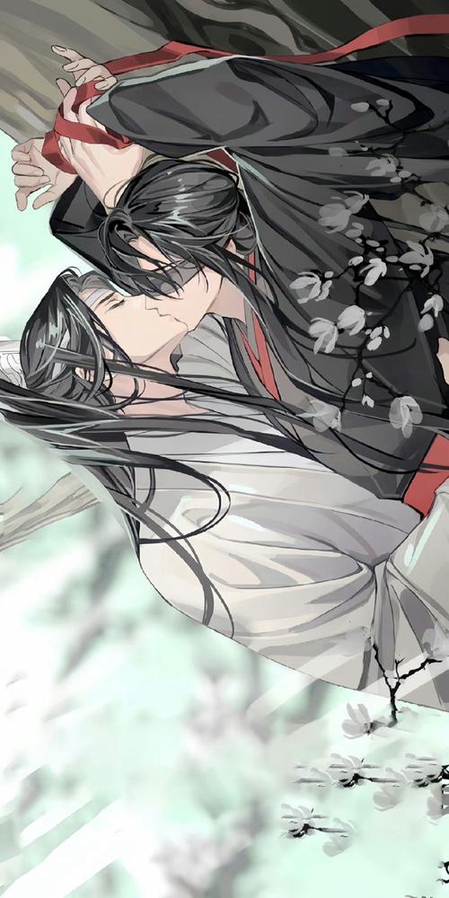 忘羡 百凤山初吻 魔道祖师   原耽