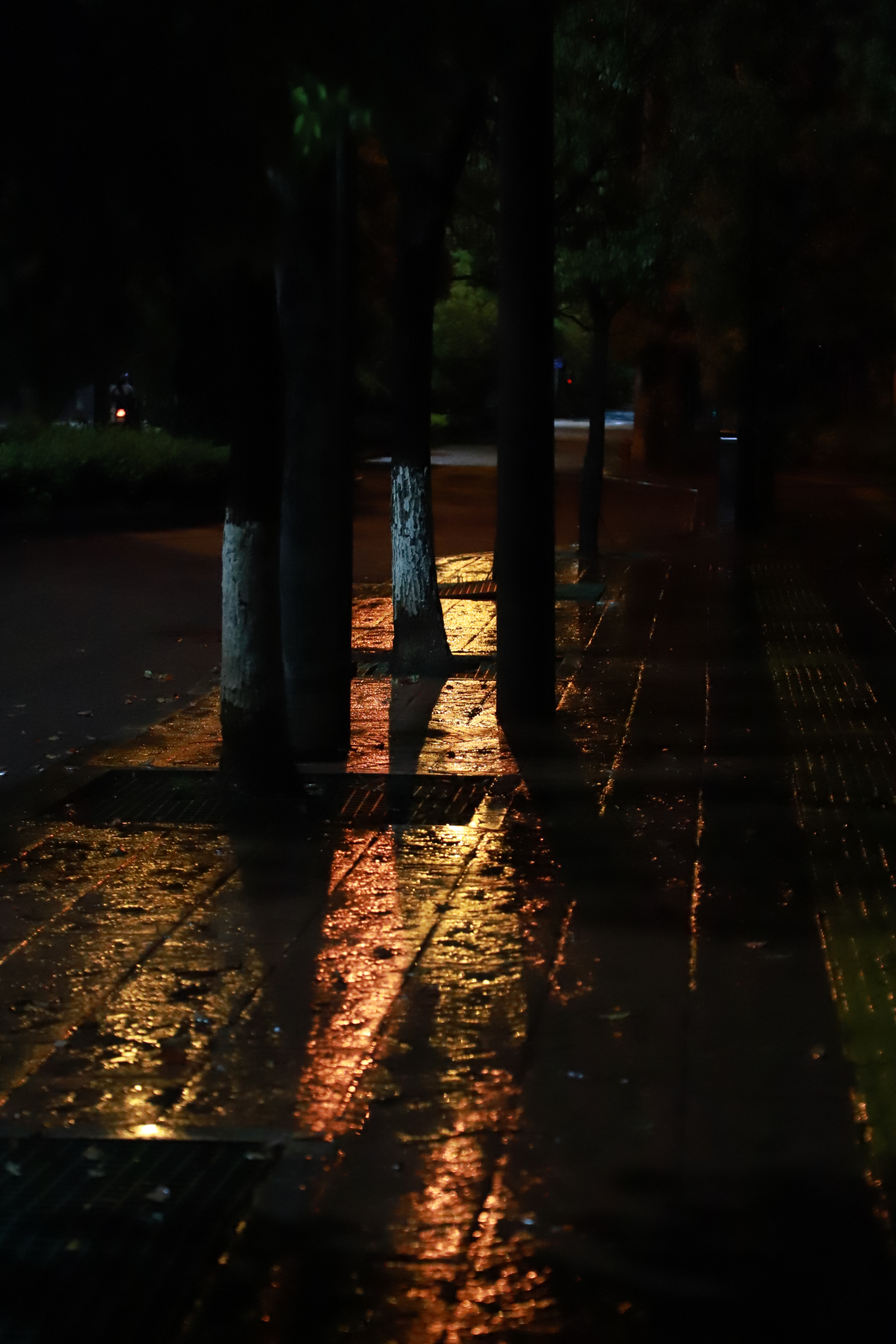 街道夜景图片 安静图片