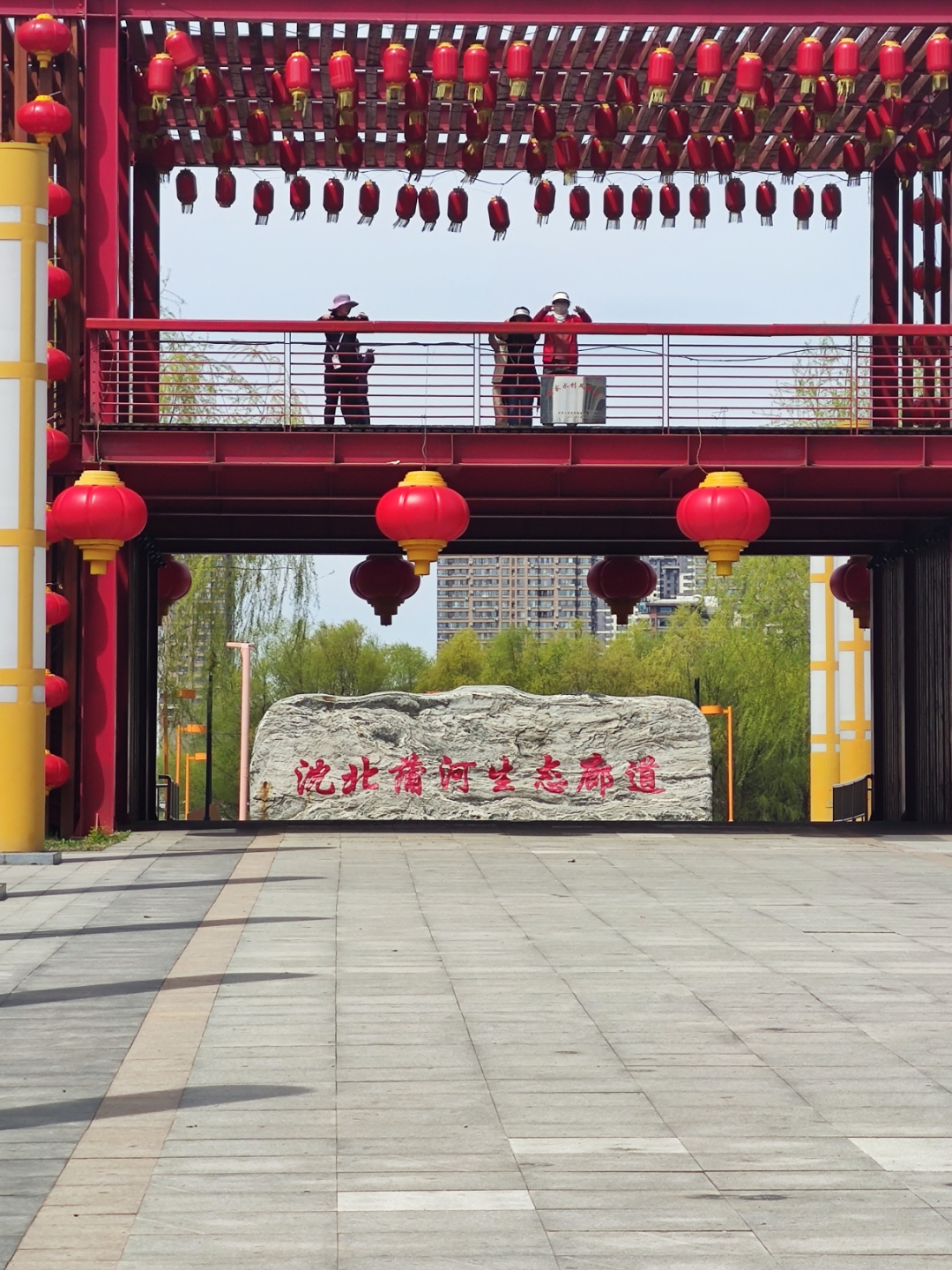沈阳市蒲河廊道,当杏花碰上了灯笼,碰撞出自然与人文交融的风采