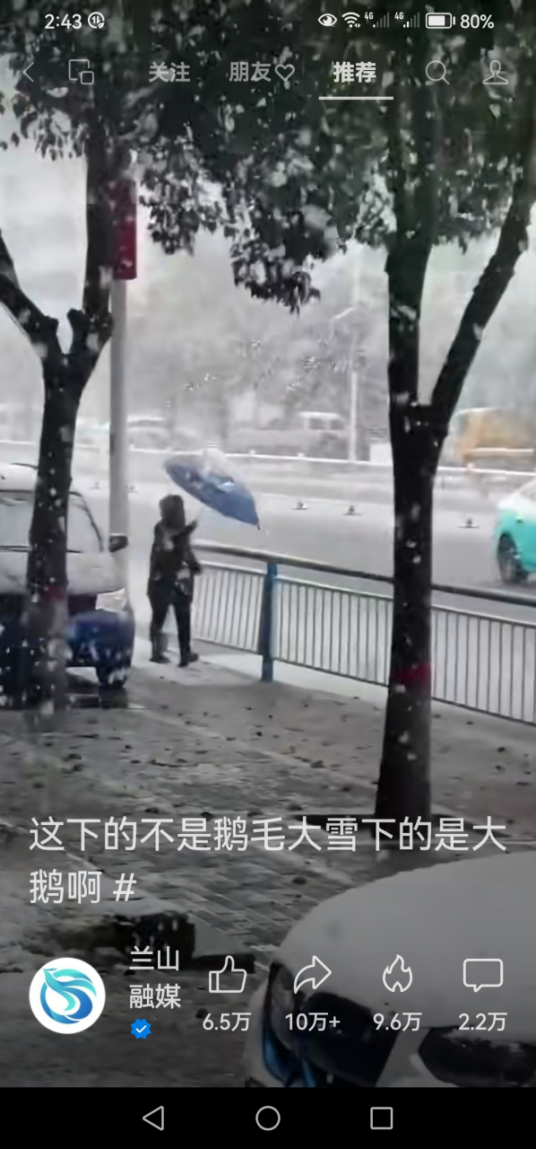 鹅毛大雪的意思图片