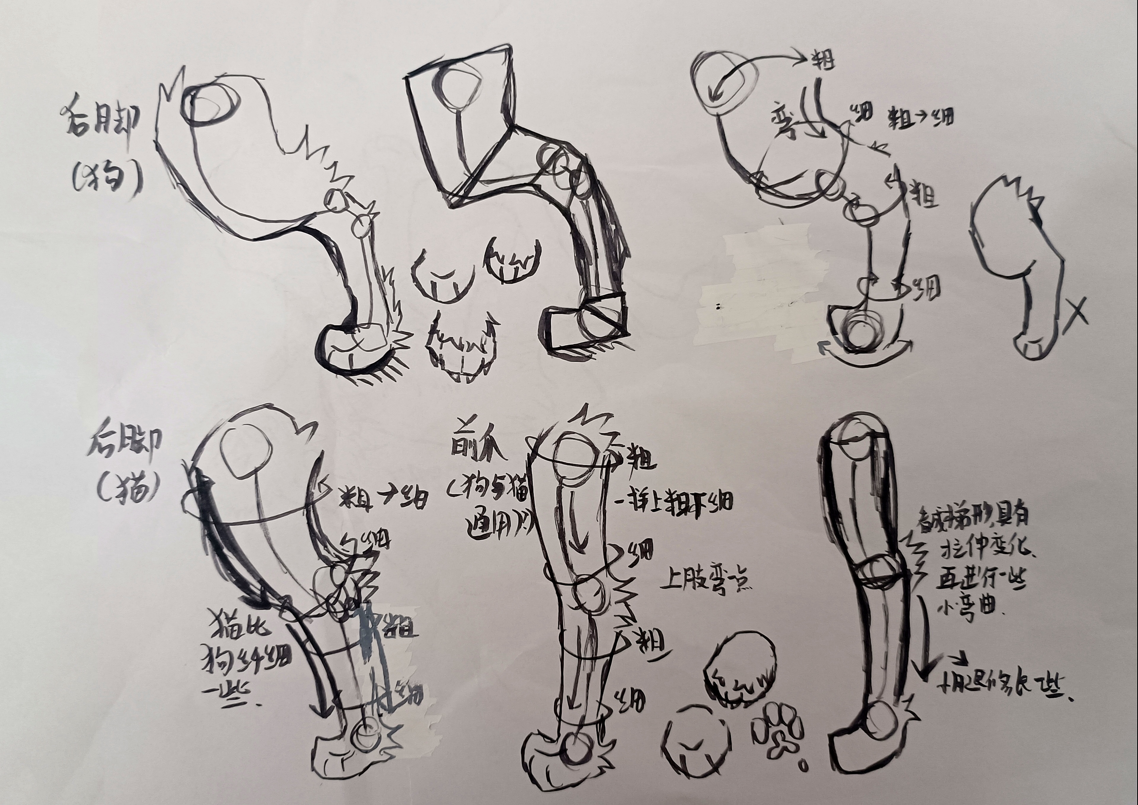 杨枝甘露怎么画简笔画图片